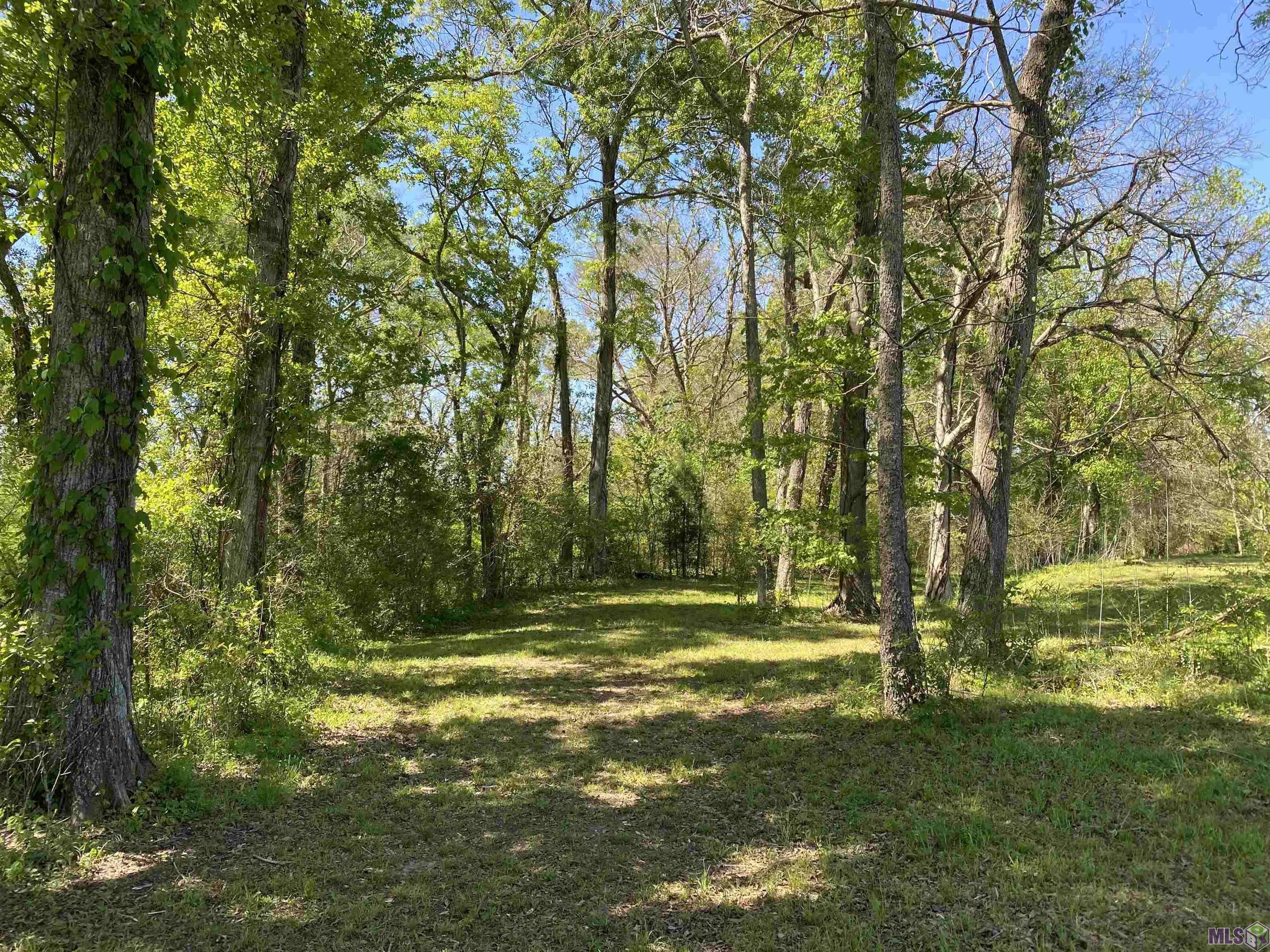 Maringouin, LA 70757,LOT 11A La Hwy 411