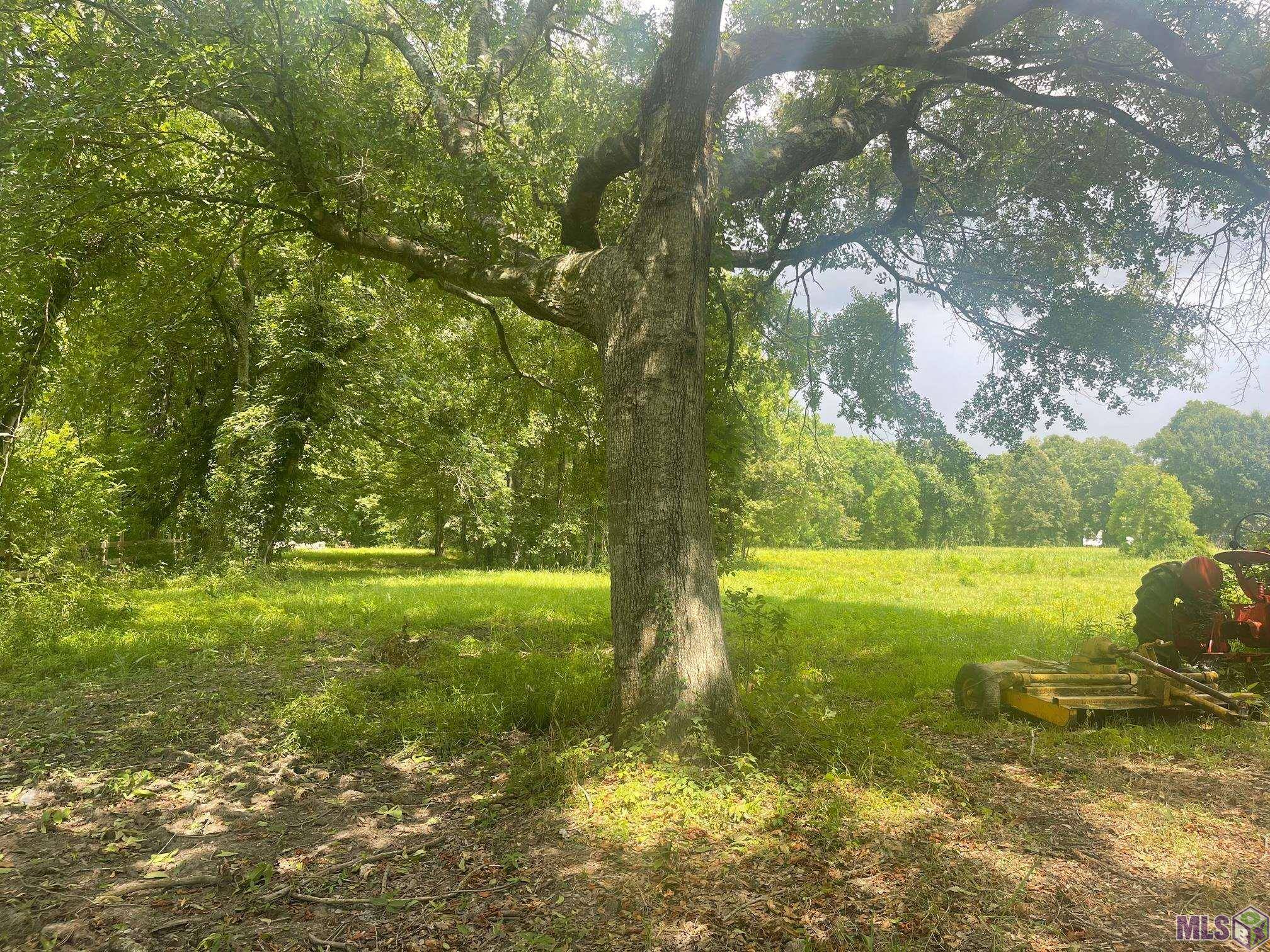 Port Allen, LA 70767,13083 Cypress St