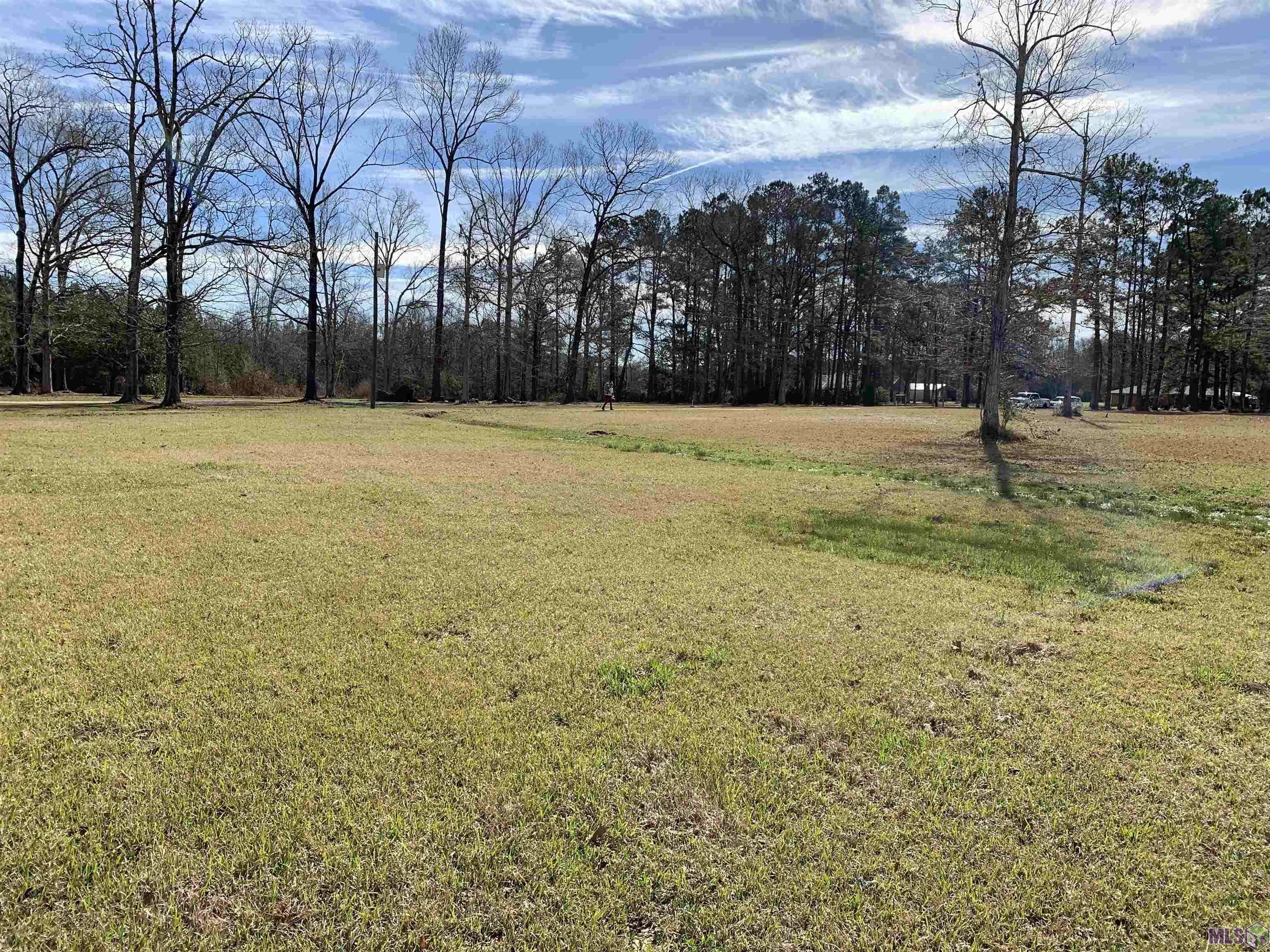 Pride, LA 70770,16881 Mahoney Rd