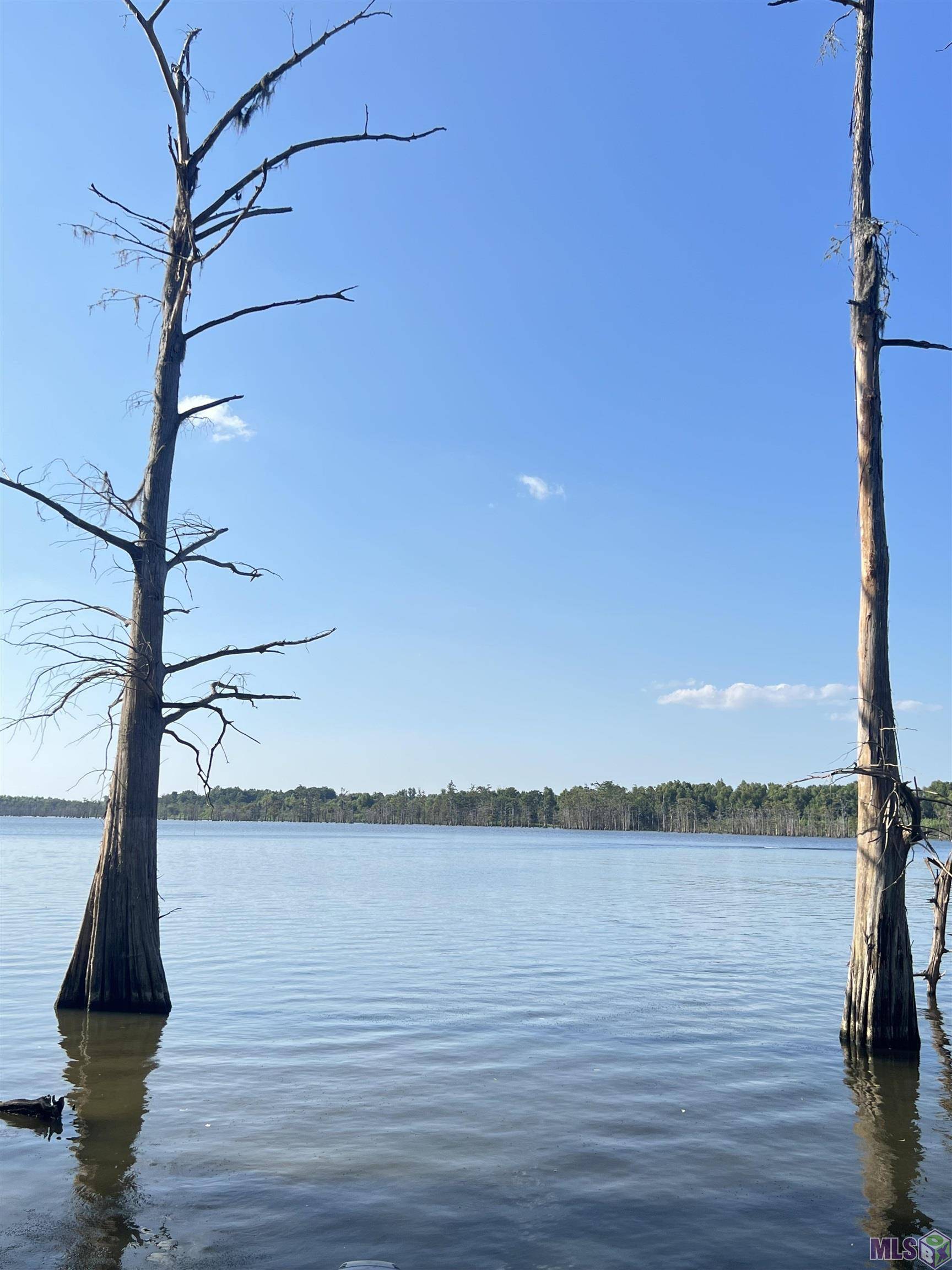 Woodville, MS 39669,TBD Lakeshore Rd