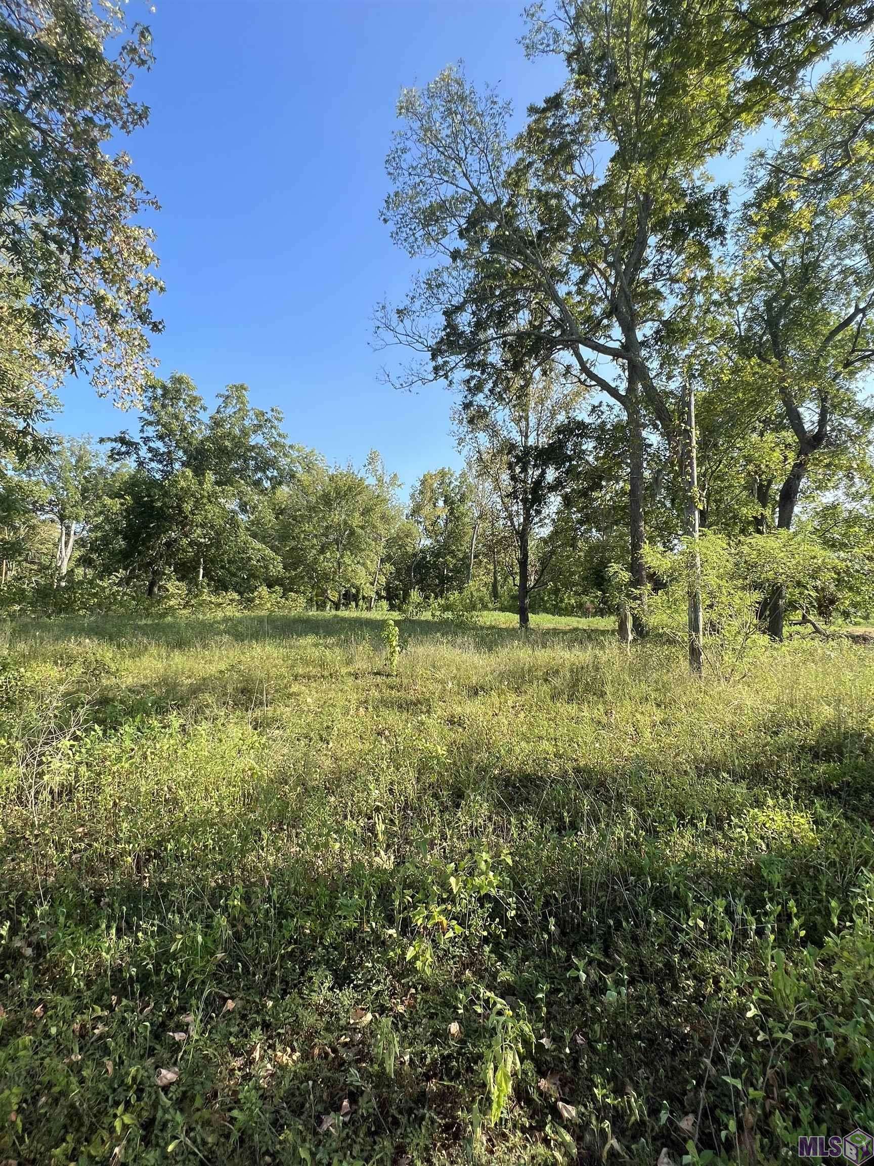 Woodville, MS 39669,TBD Lakeshore Rd