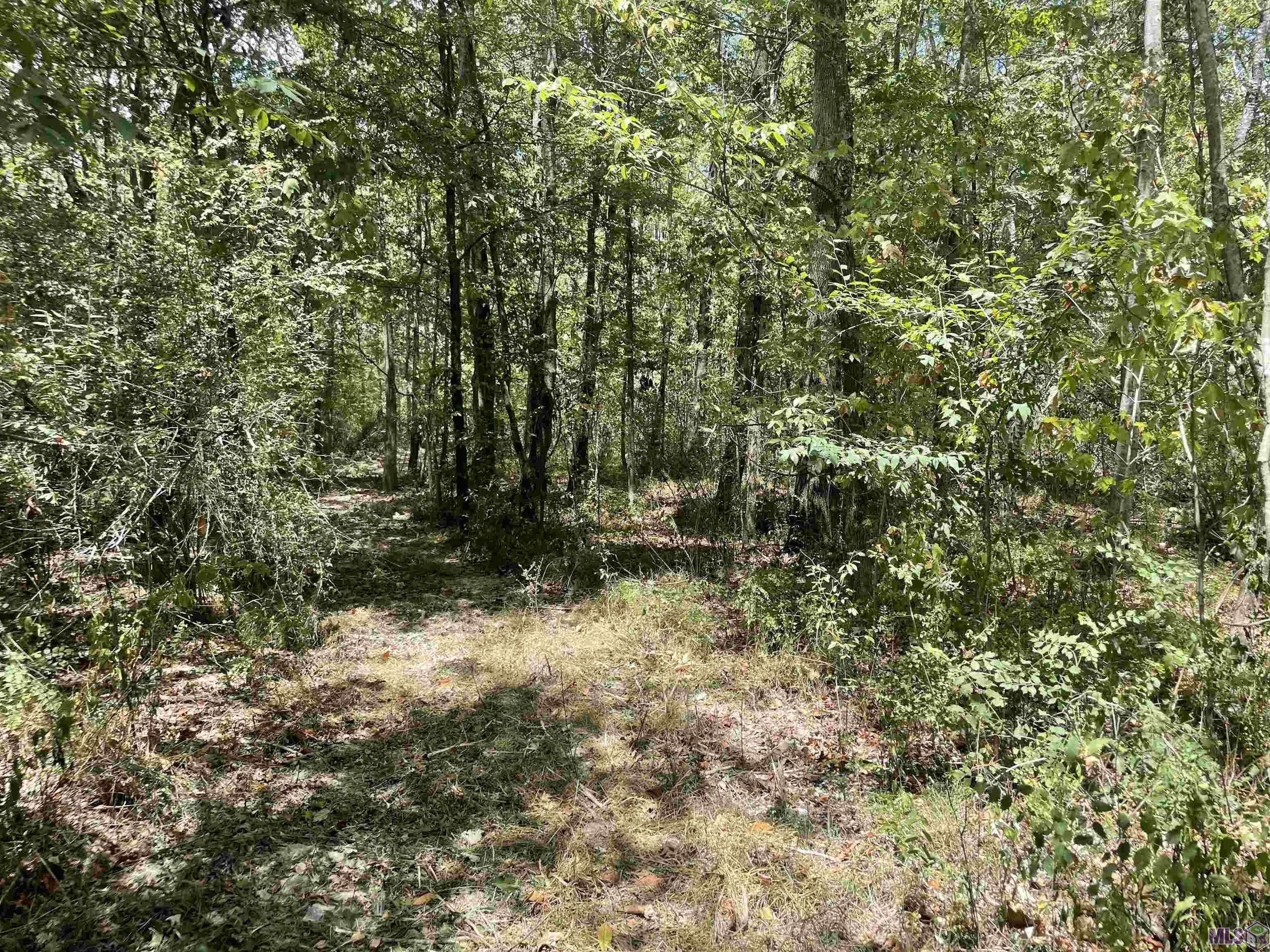 Baker, LA 70714,Lot E Blackwater Rd