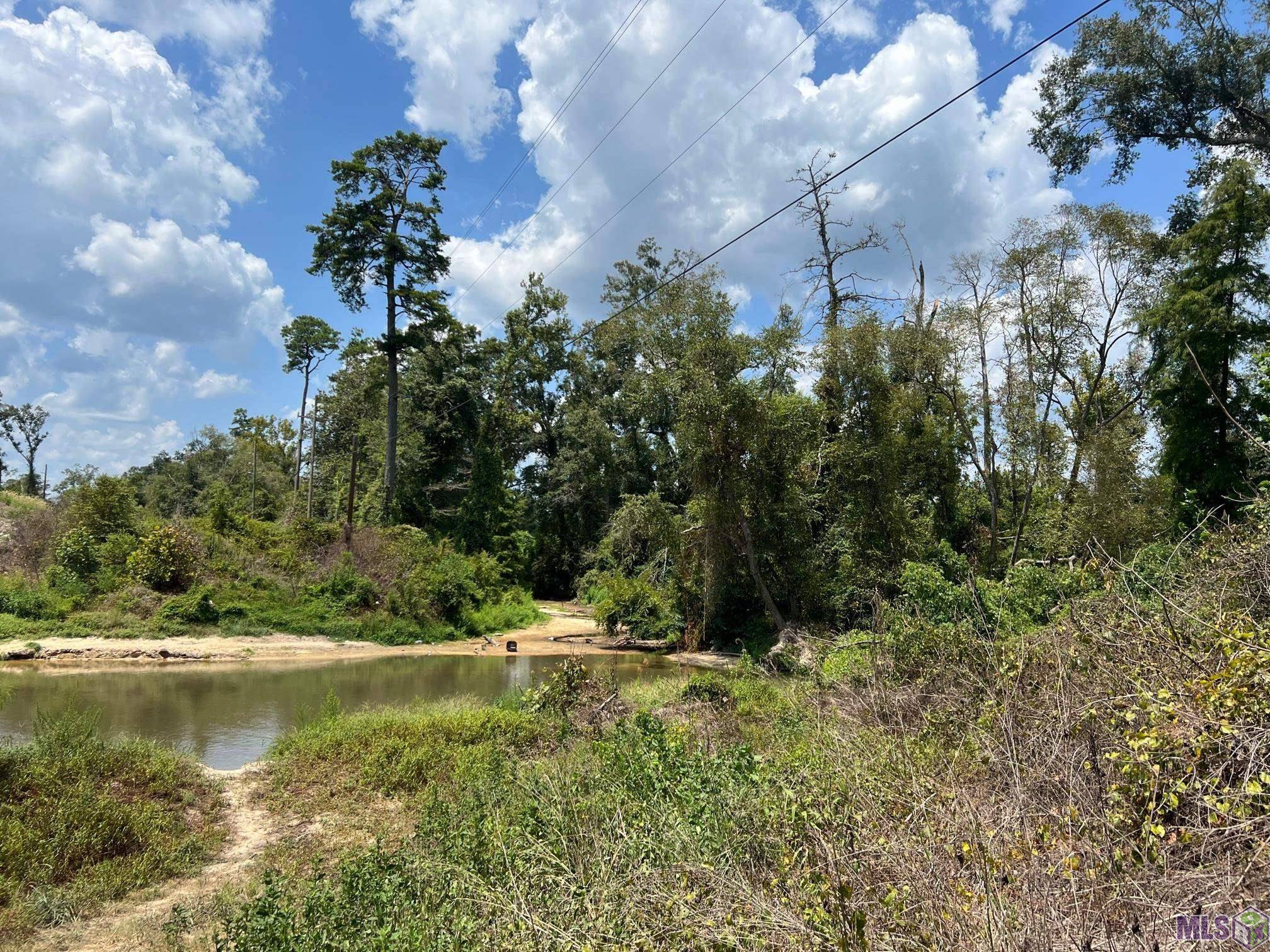 Holden, LA 70744,Tract B & C La Hwy 442