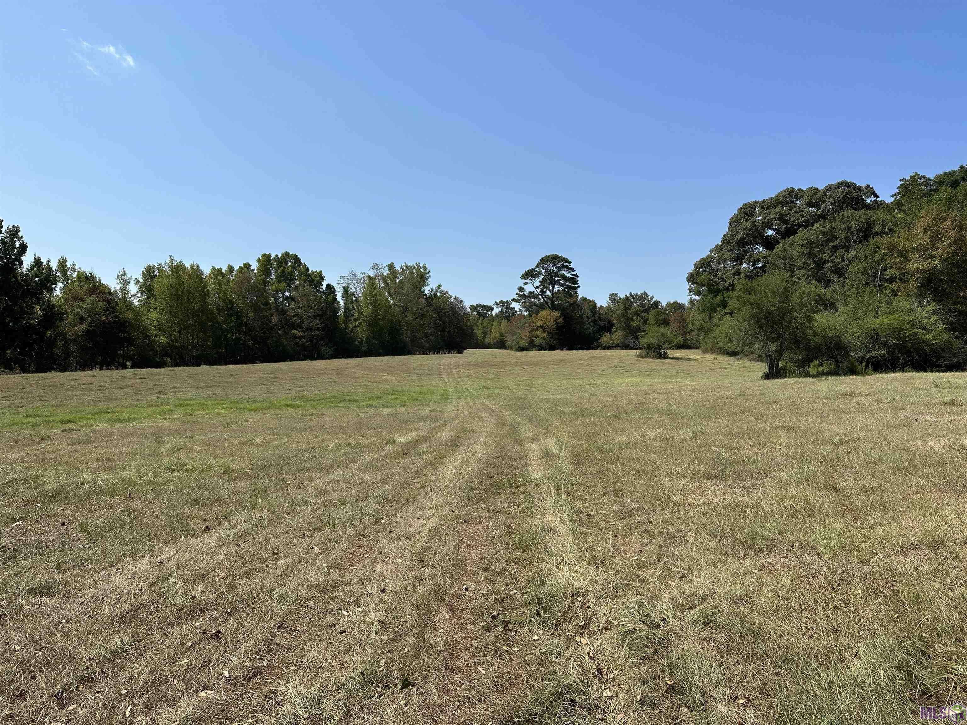 Kentwood, LA 70444,73225 La Hwy 1049
