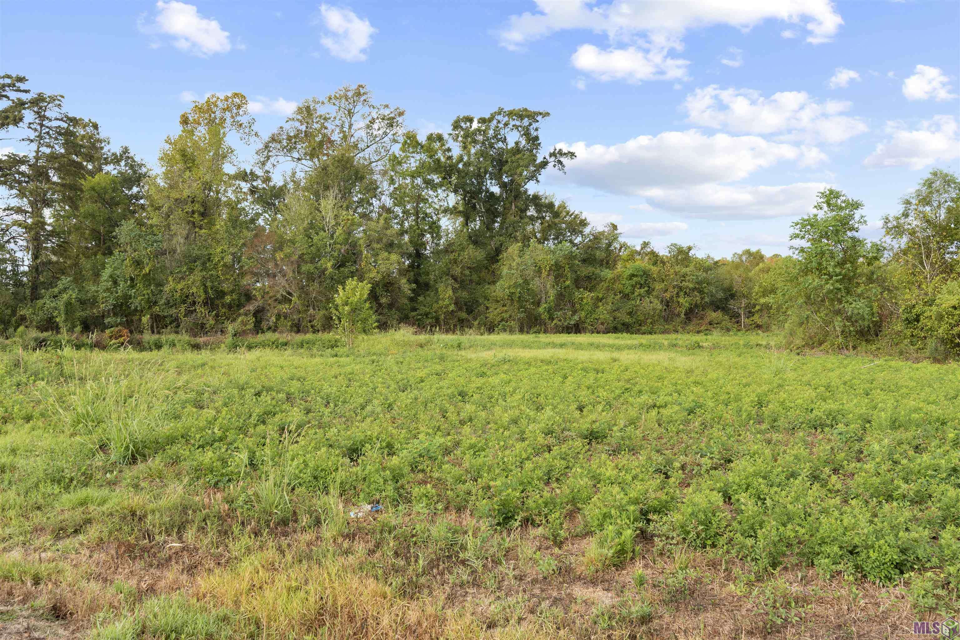 Prairieville, LA 70769,TBD Lot 19-A Amite Acres