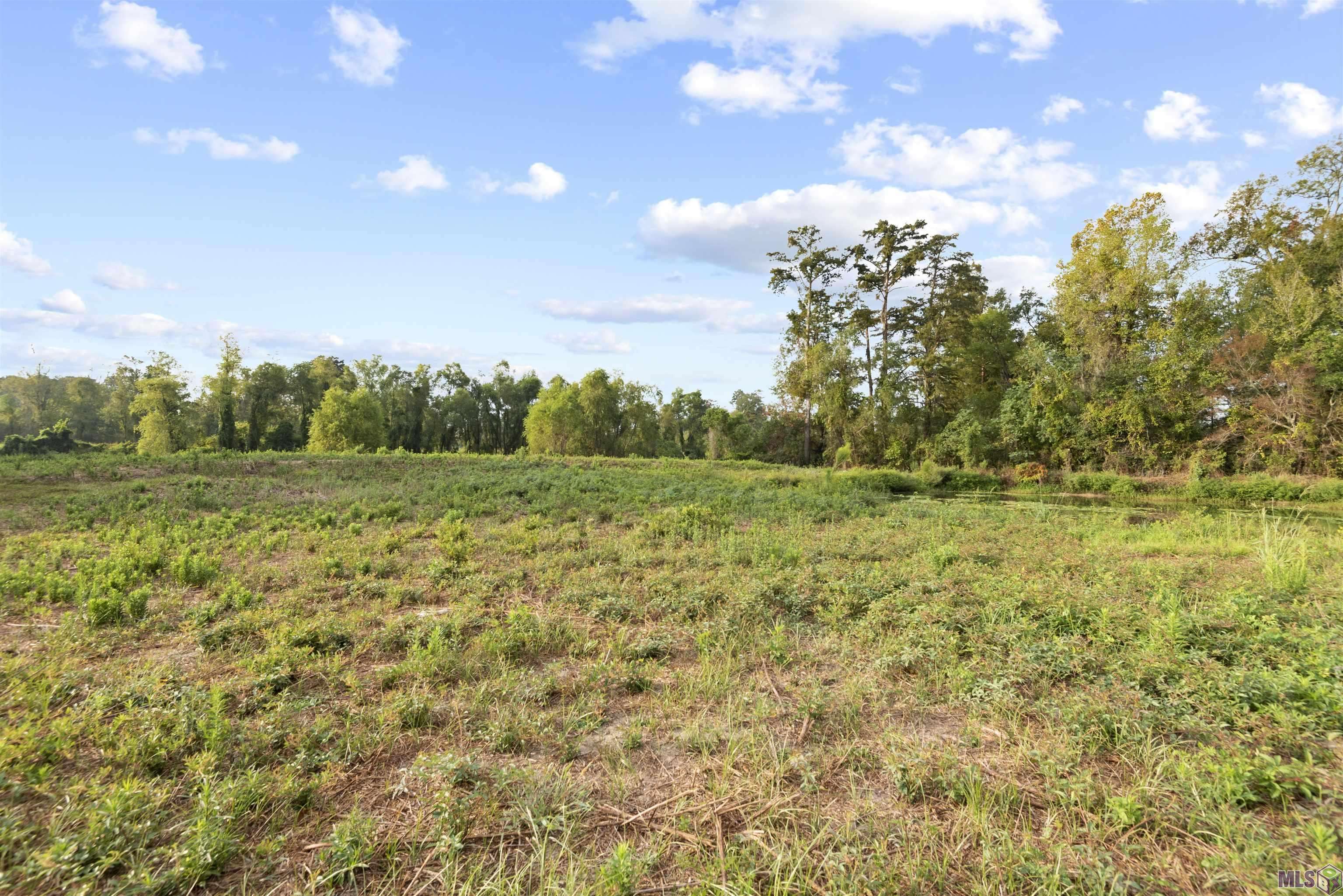 Prairieville, LA 70769,TBD Lot 20-A Amite Acres