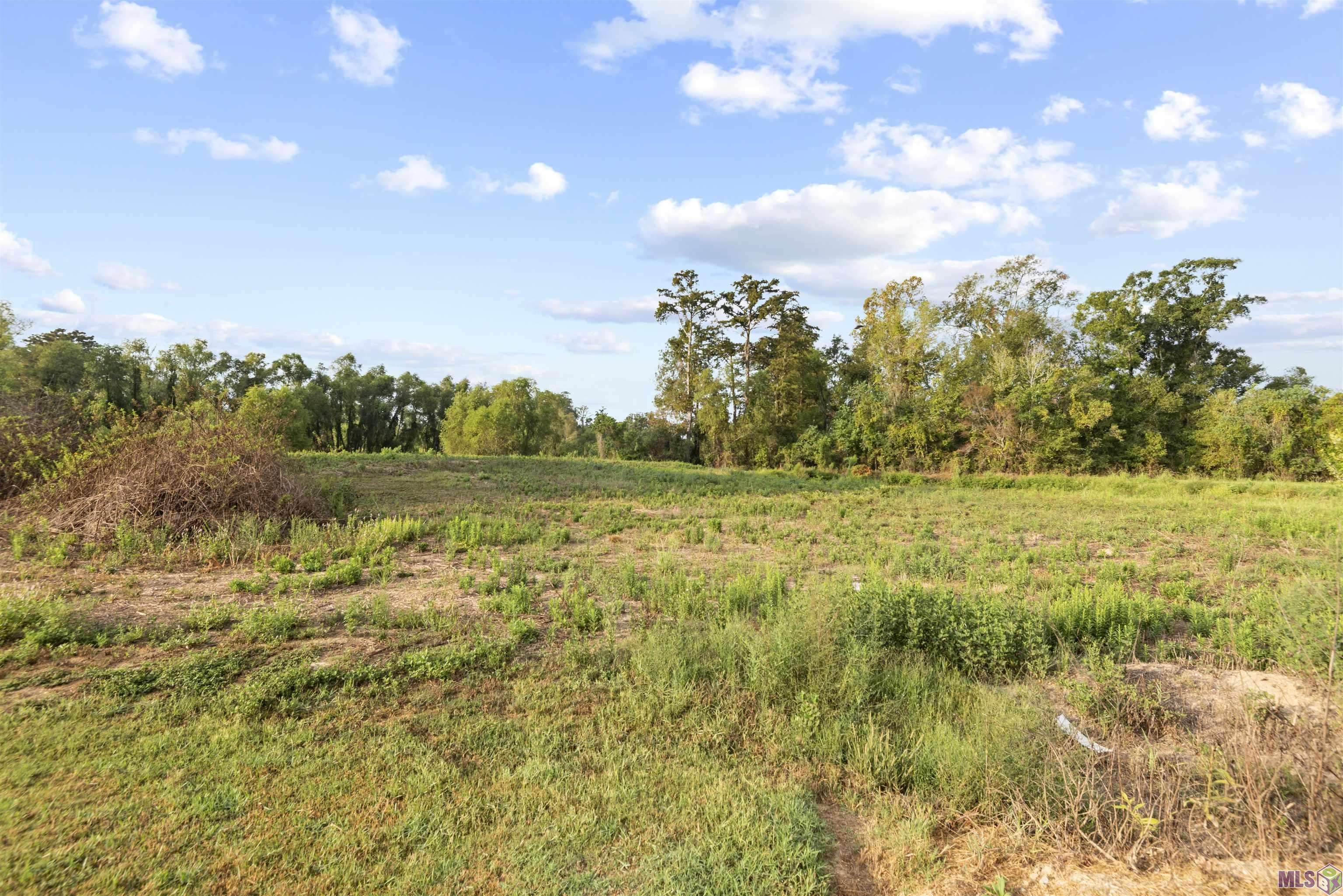 Prairieville, LA 70769,TBD Lot 20-A Amite Acres