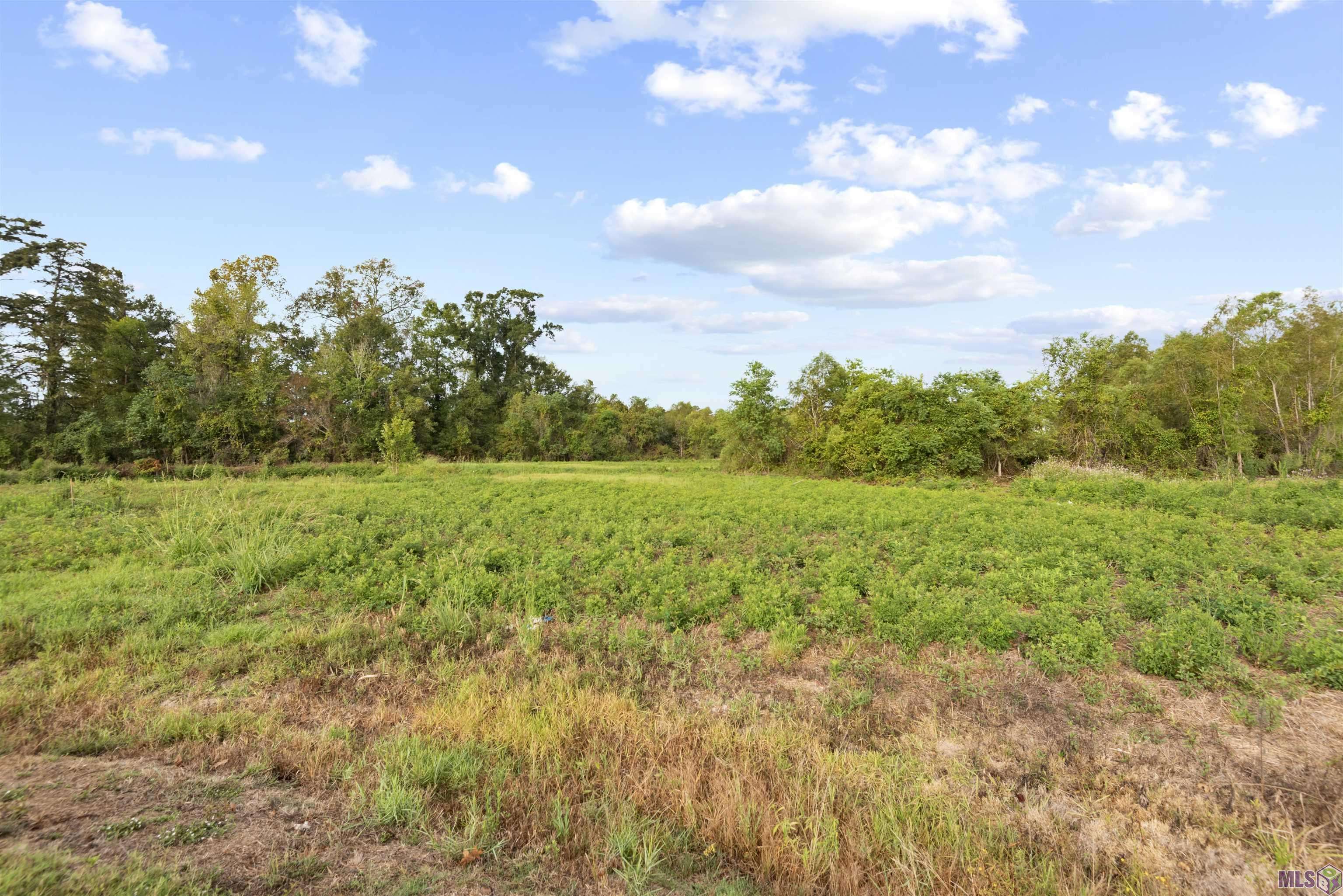 Prairieville, LA 70769,TBD Lot 20-A Amite Acres
