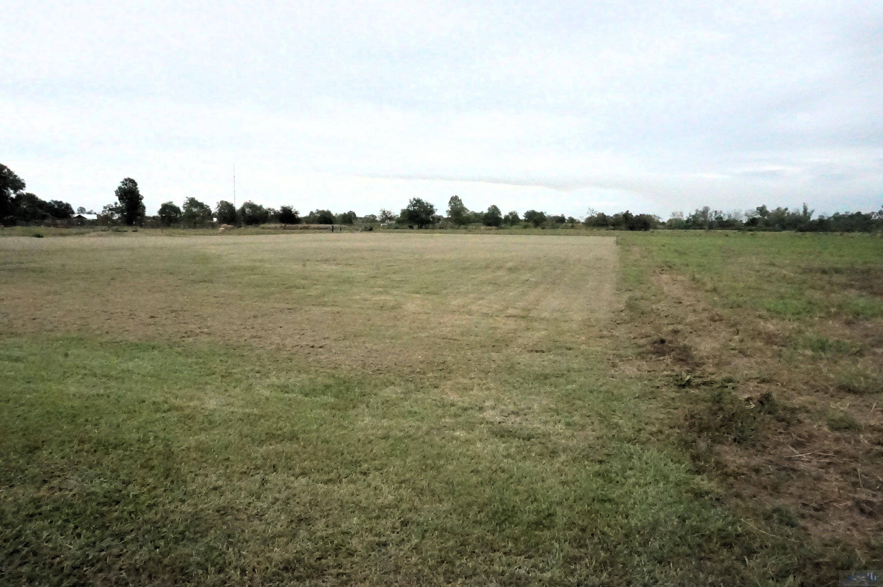 Raceland, LA 70394,TBD Highway 653