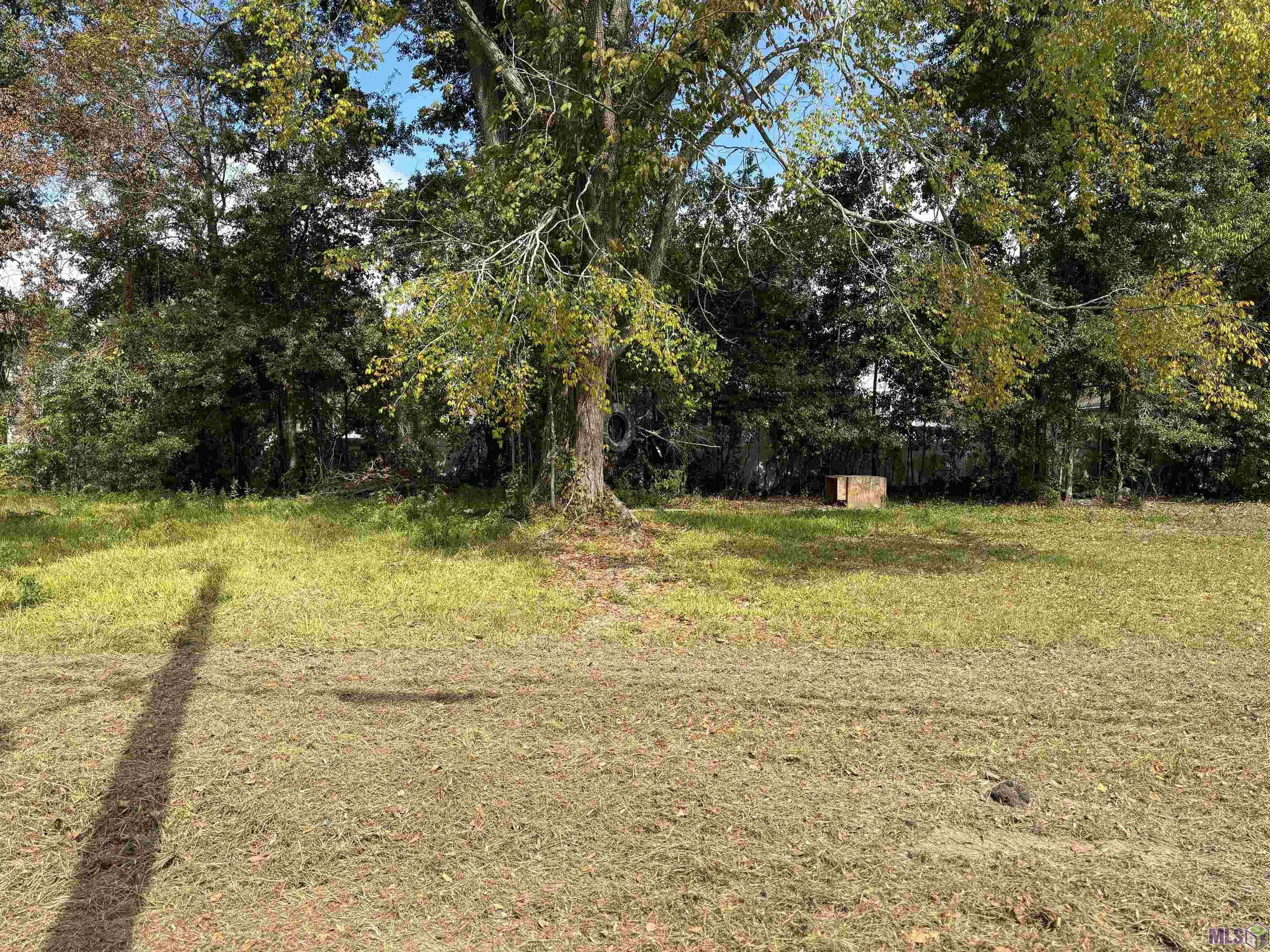 Baton Rouge, LA 70802,545 Cotton St