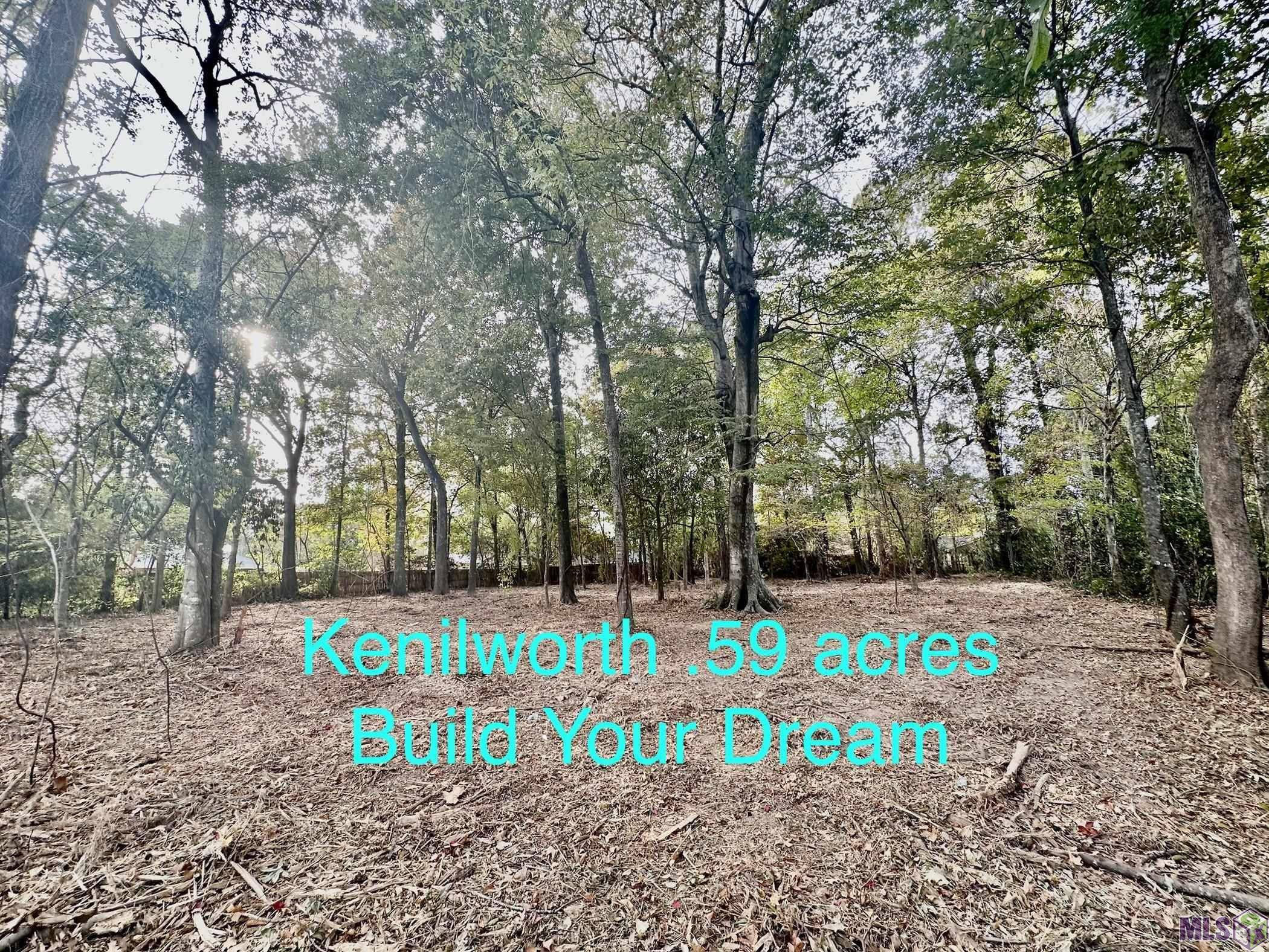 Baton Rouge, LA 70808,1535 Louray Dr