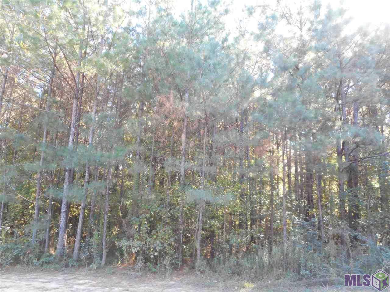 Ethel, LA 70730,7430 Lane Rd