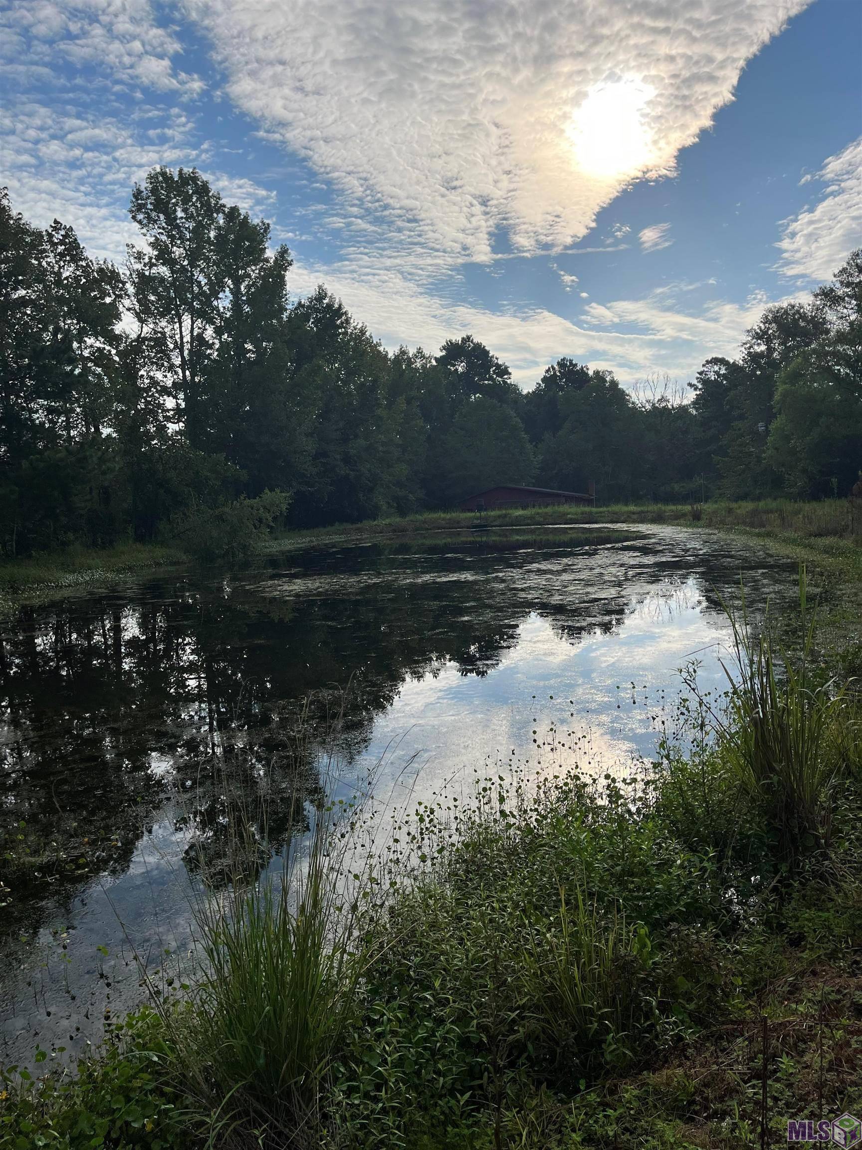 Clinton, LA 70722,18061 La Hwy 67