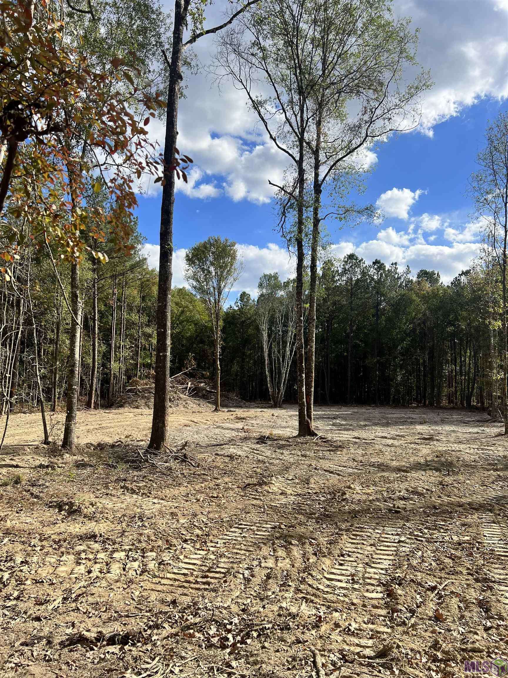 Denham Springs, LA 70706,Lot 53 Nesom Rd