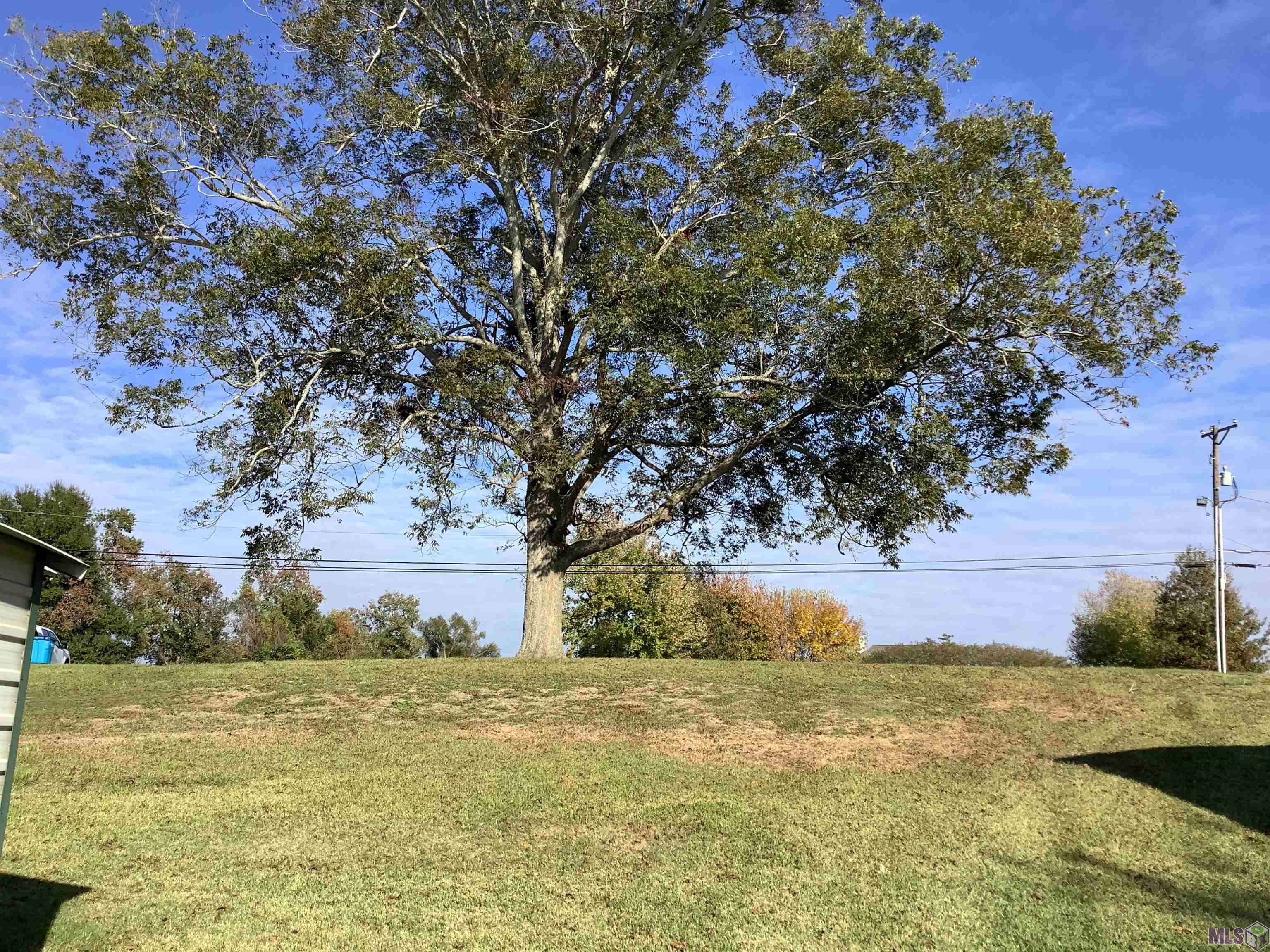 Ventress, LA 70783,7743 Island Rd