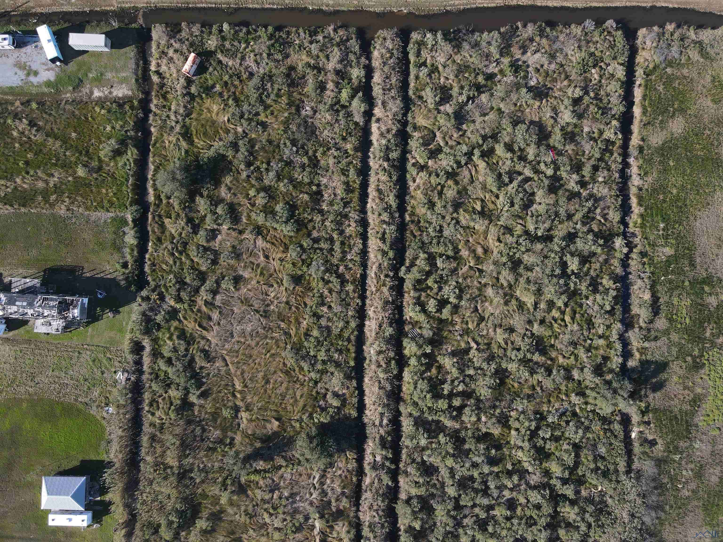 Grand Isle, LA 70358,Lot 6 Sq N Elm