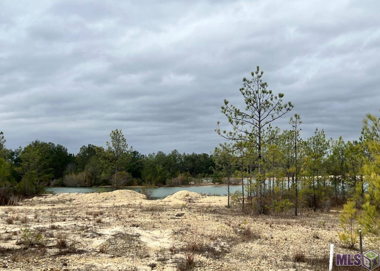 Franklinton, LA 70438,3 Emerald Ct