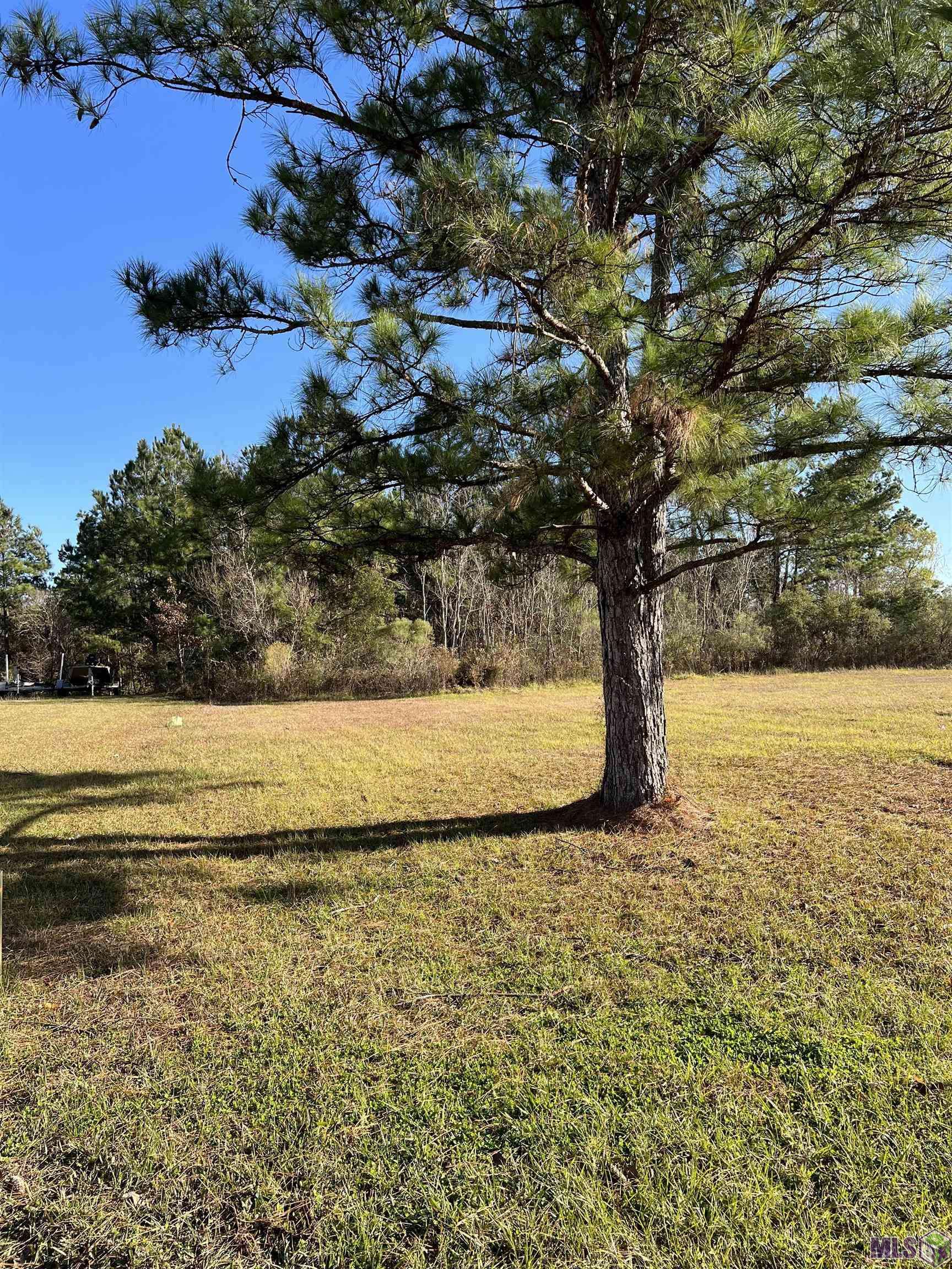 Killian, LA 70462,Lot 94 Ponchatoula Dr