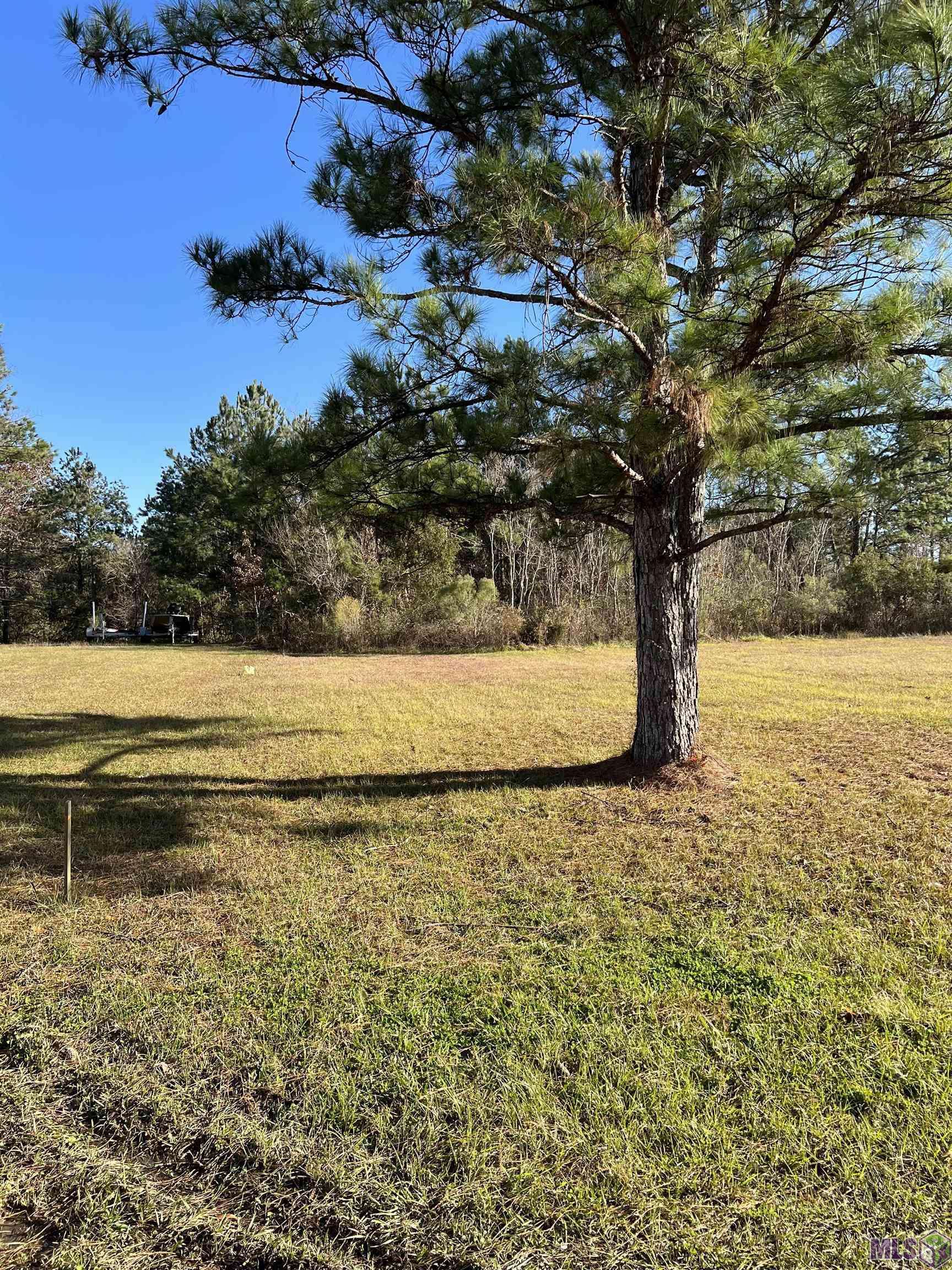 Killian, LA 70462,Lot 94 Ponchatoula Dr