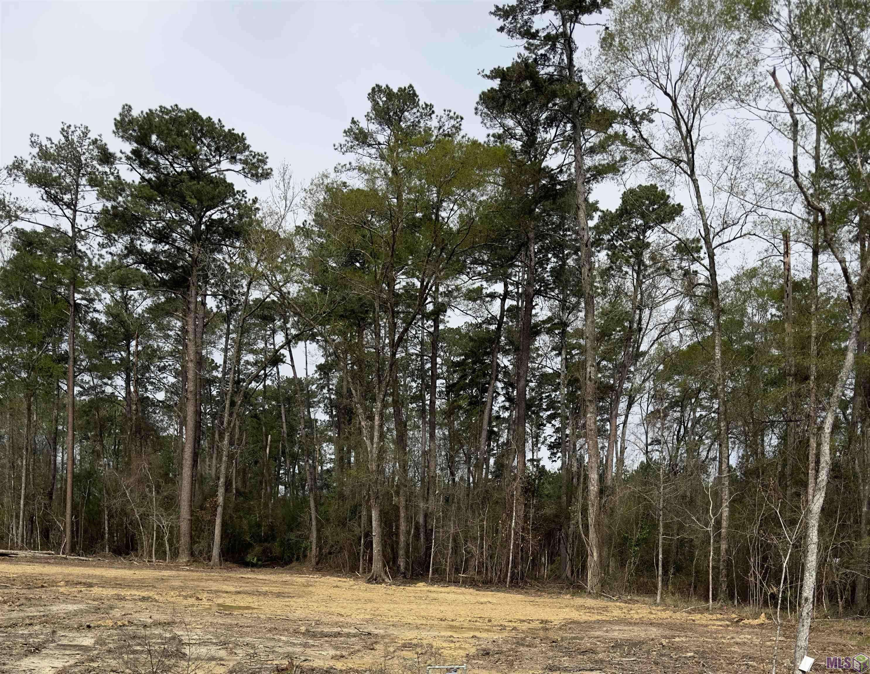 Denham Springs, LA 70706,Lot B3 Reinninger Rd