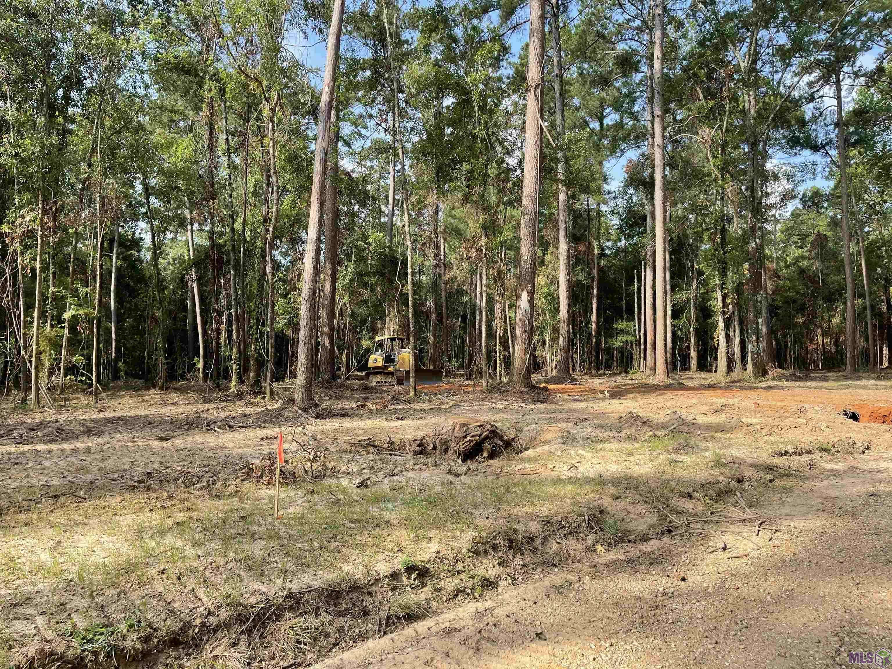 Clinton, LA 70722,7987 Hepzibah Rd