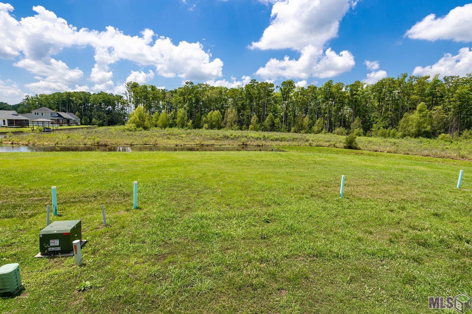 Maurepas, LA 70449,18986 S St Croix Ct