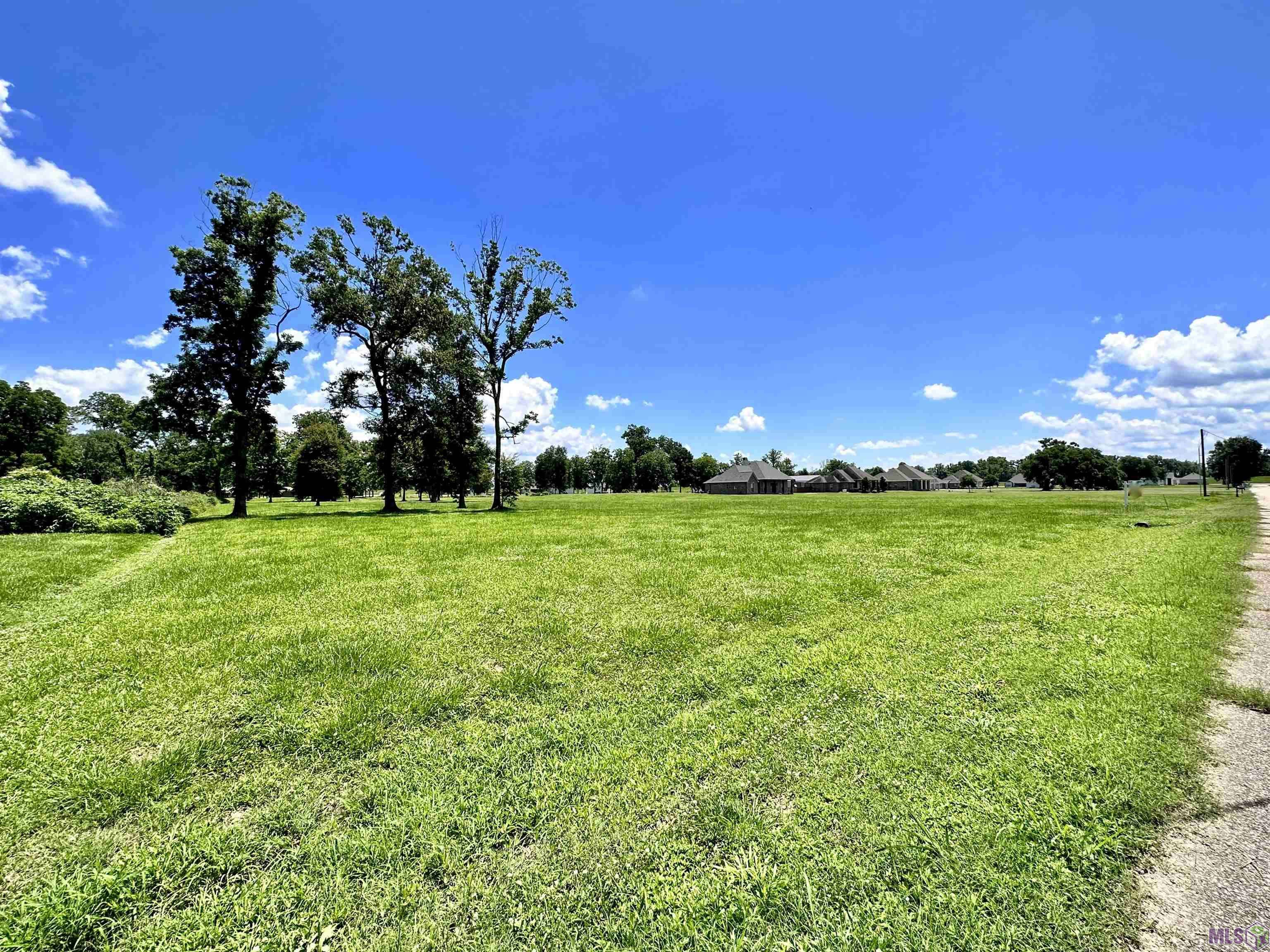 Darrow, LA 70725,3224 Stanford Levy Rd