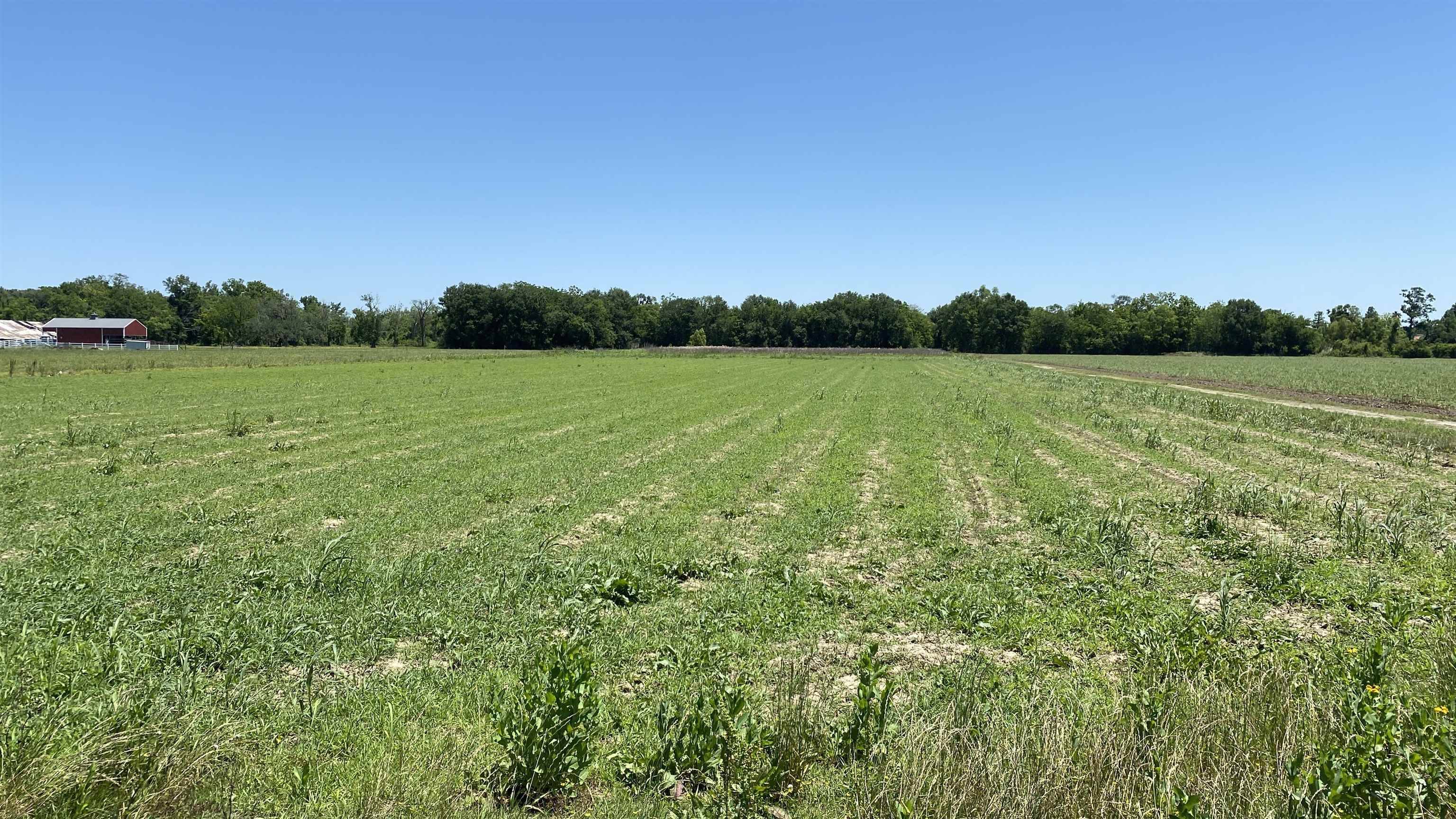 Paulina, LA 70763,Lot SL-TBD La Hwy 642