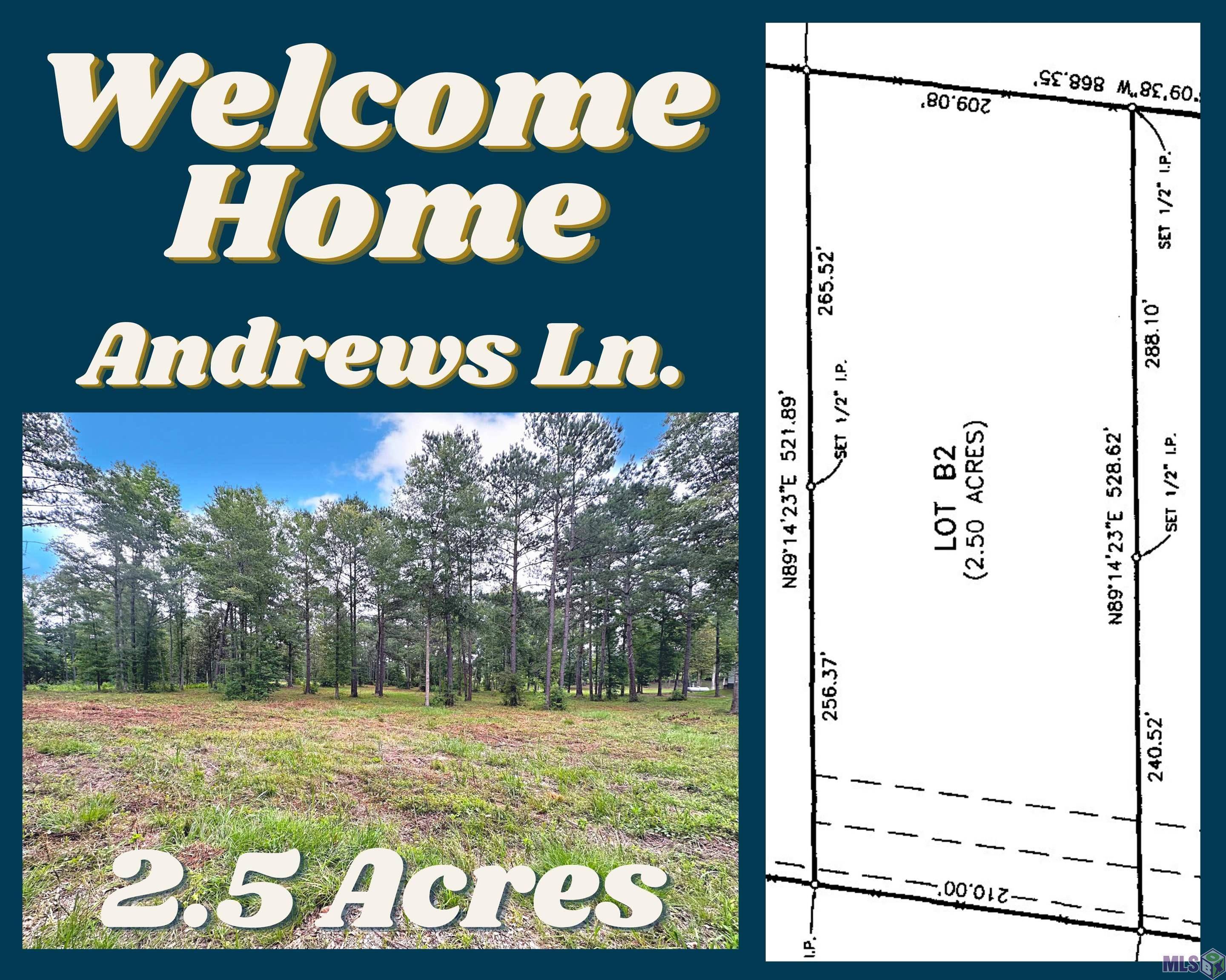 Clinton, LA 70722,Andrews Ln