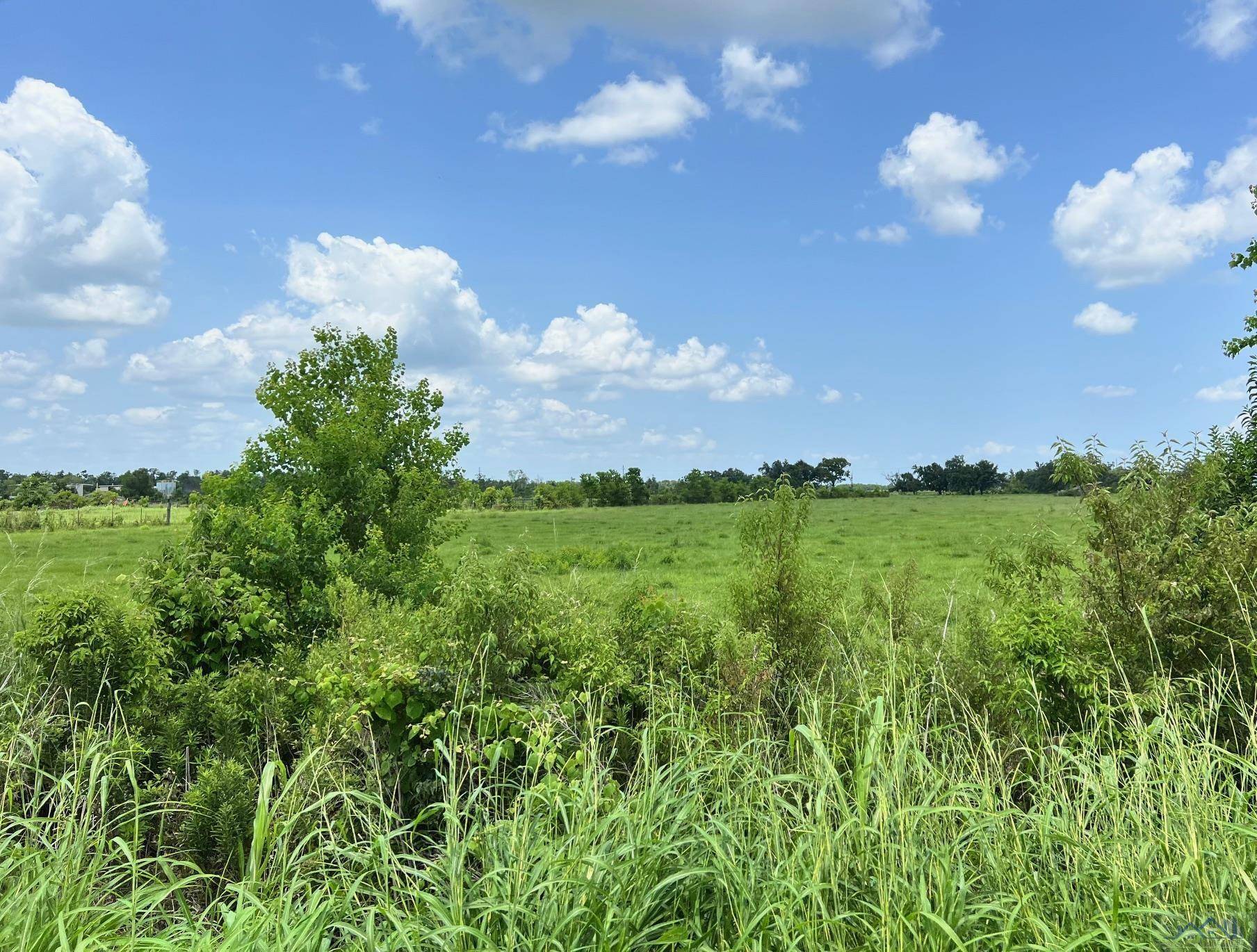 Larose, LA 70373,13233 East Main Street