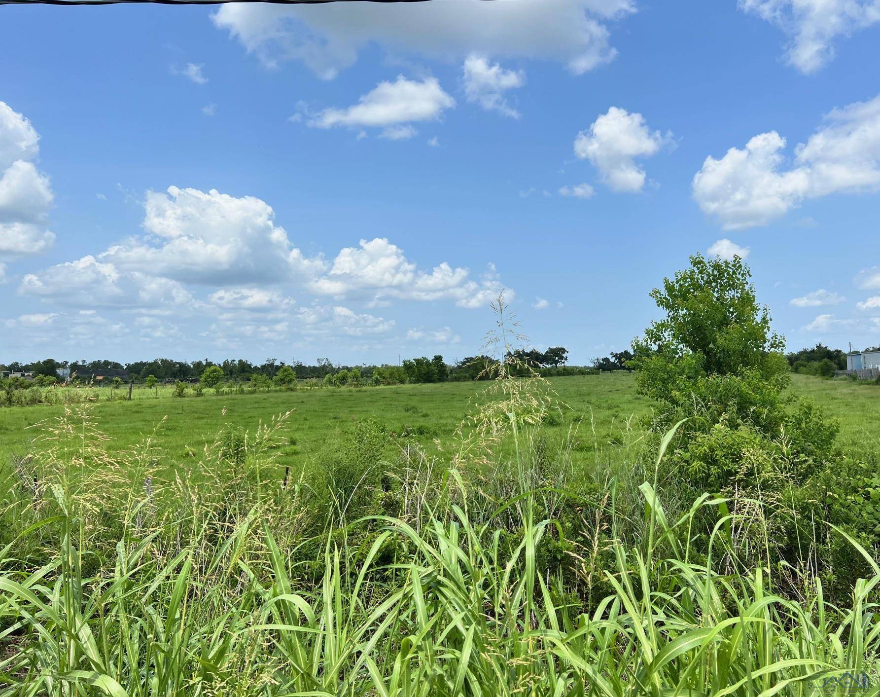 Larose, LA 70373,13233 East Main Street
