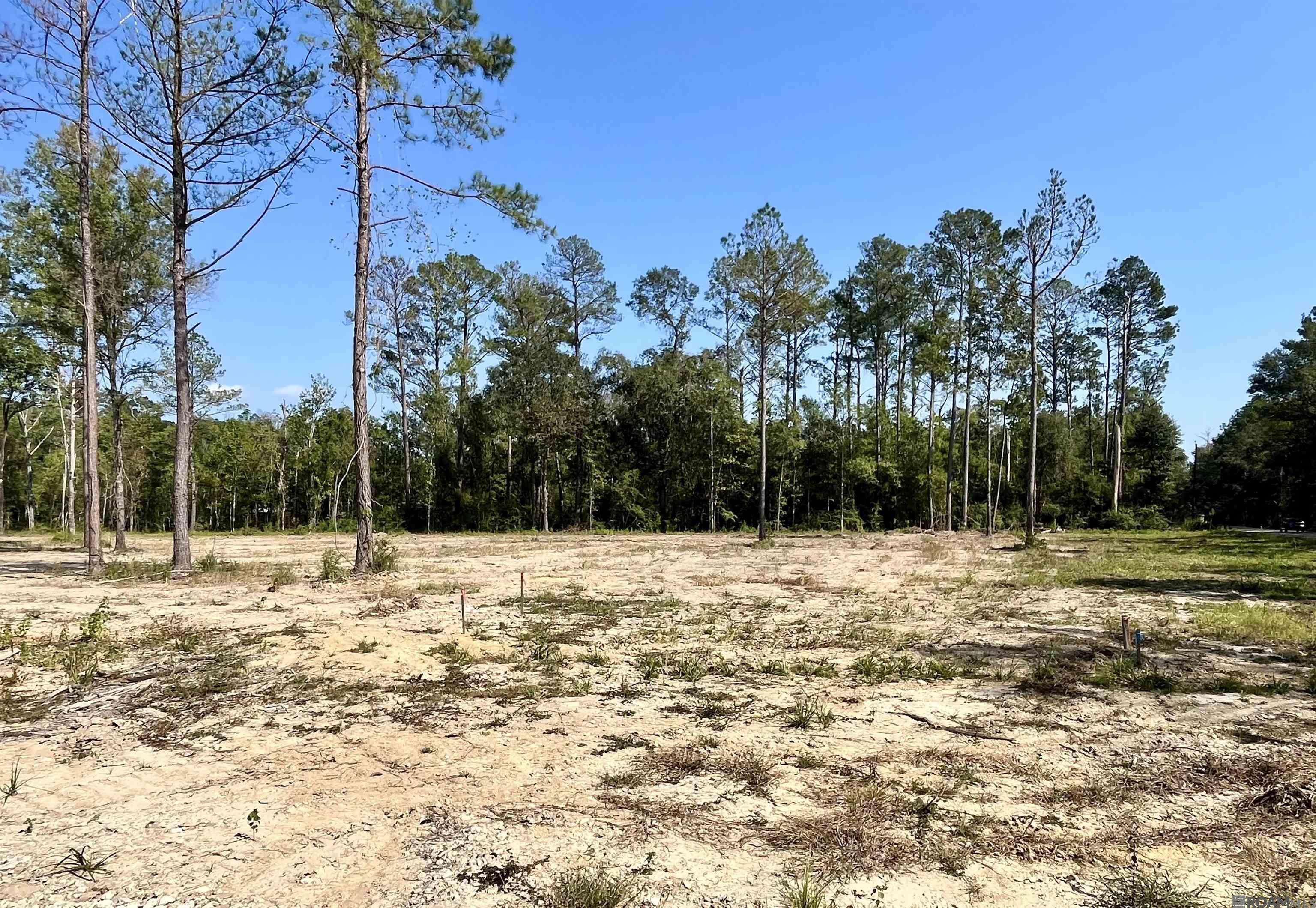 Holden, LA 70744,29605 George White Rd