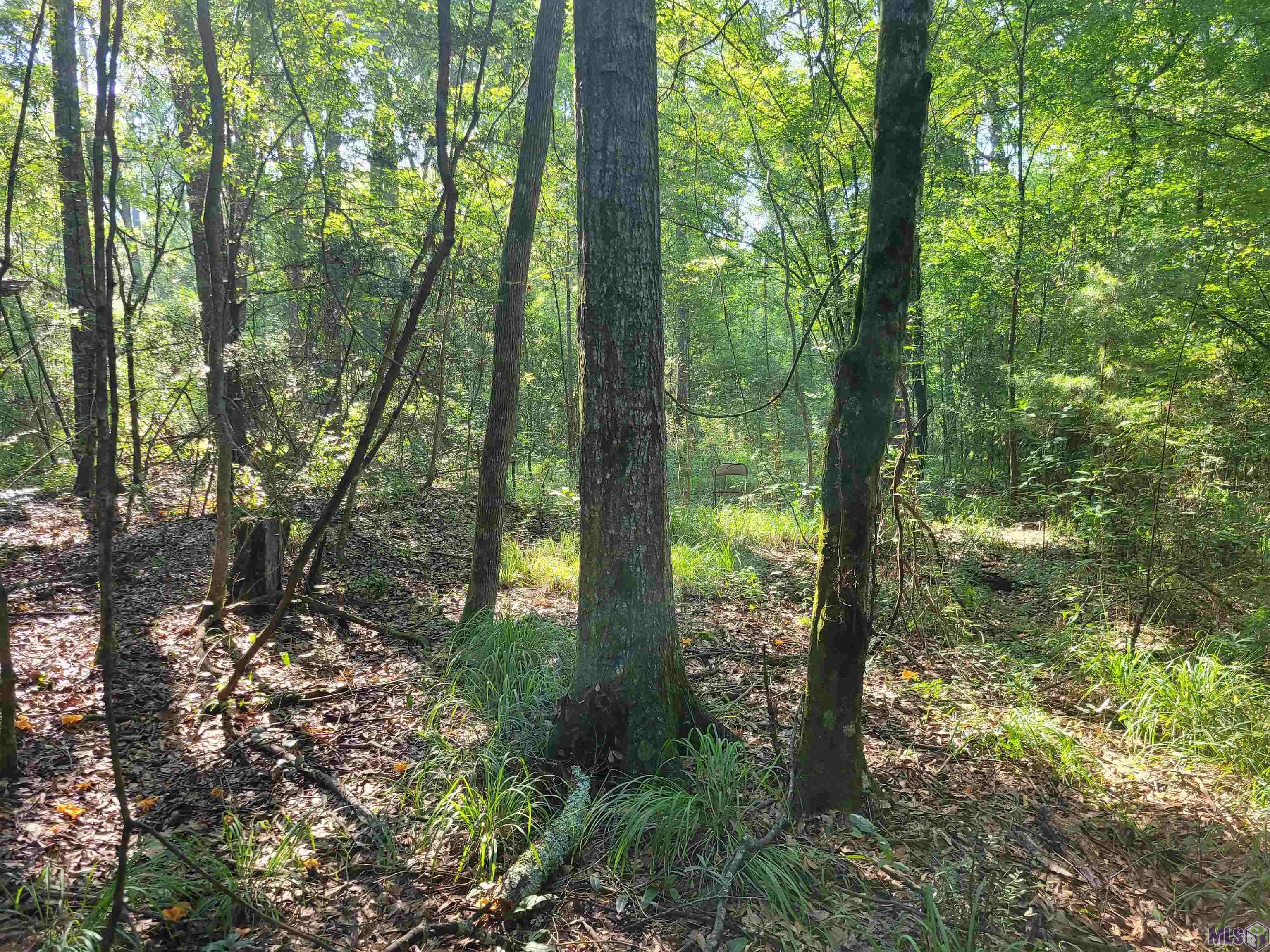 Greenwell Springs, LA 70739,26799-26355 Greenwell Springs Rd