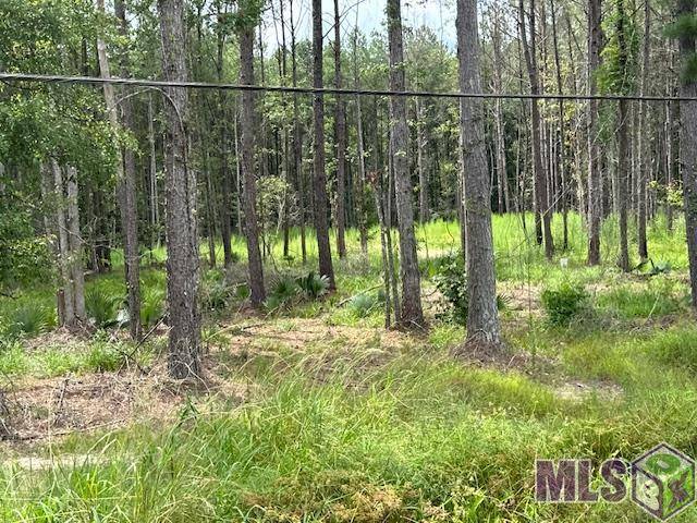 Walker, LA 70785,14363 Springfield Rd