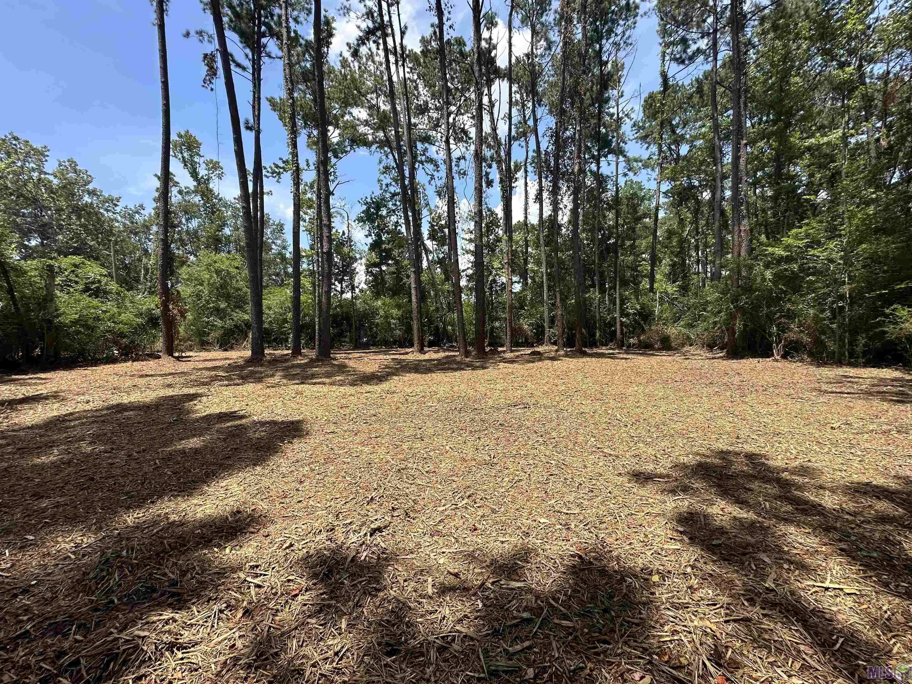 Denham Springs, LA 70726,2 Acres Norma Dr