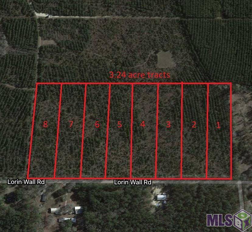 Holden, LA 70744,Tract 8 Lorin Wall Rd