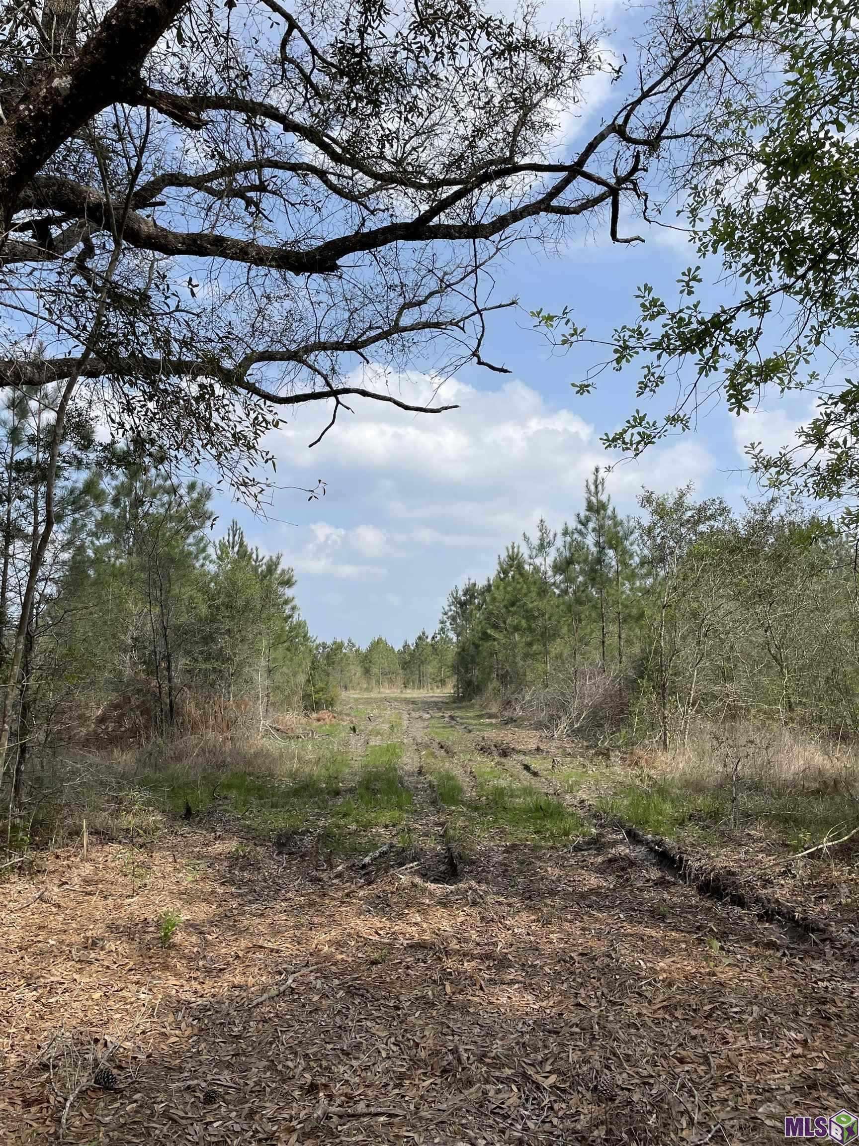Holden, LA 70774,Tract 14 Lorin Wall Rd
