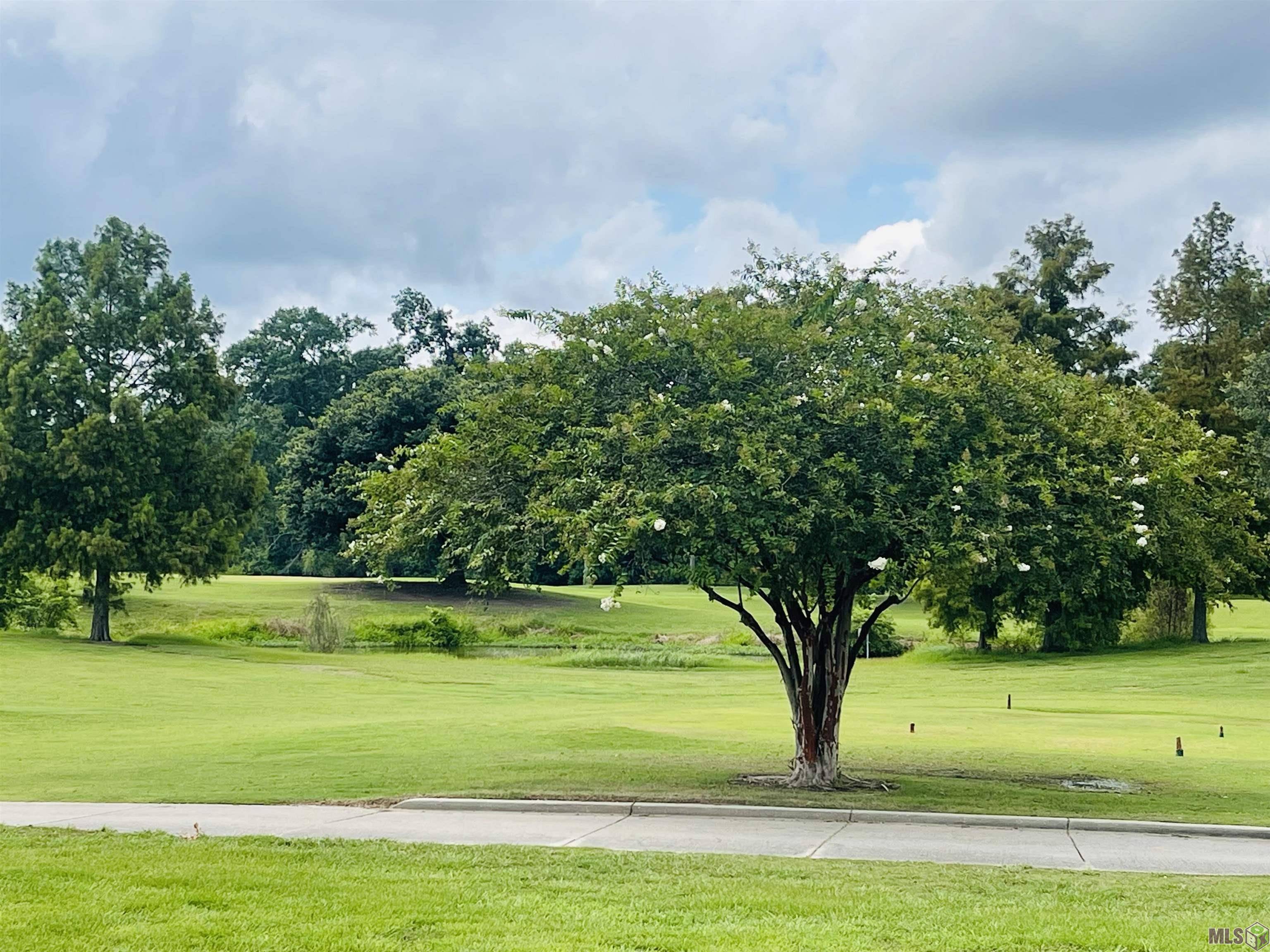 Plaquemine, LA 70764,Lot 92 April Ln