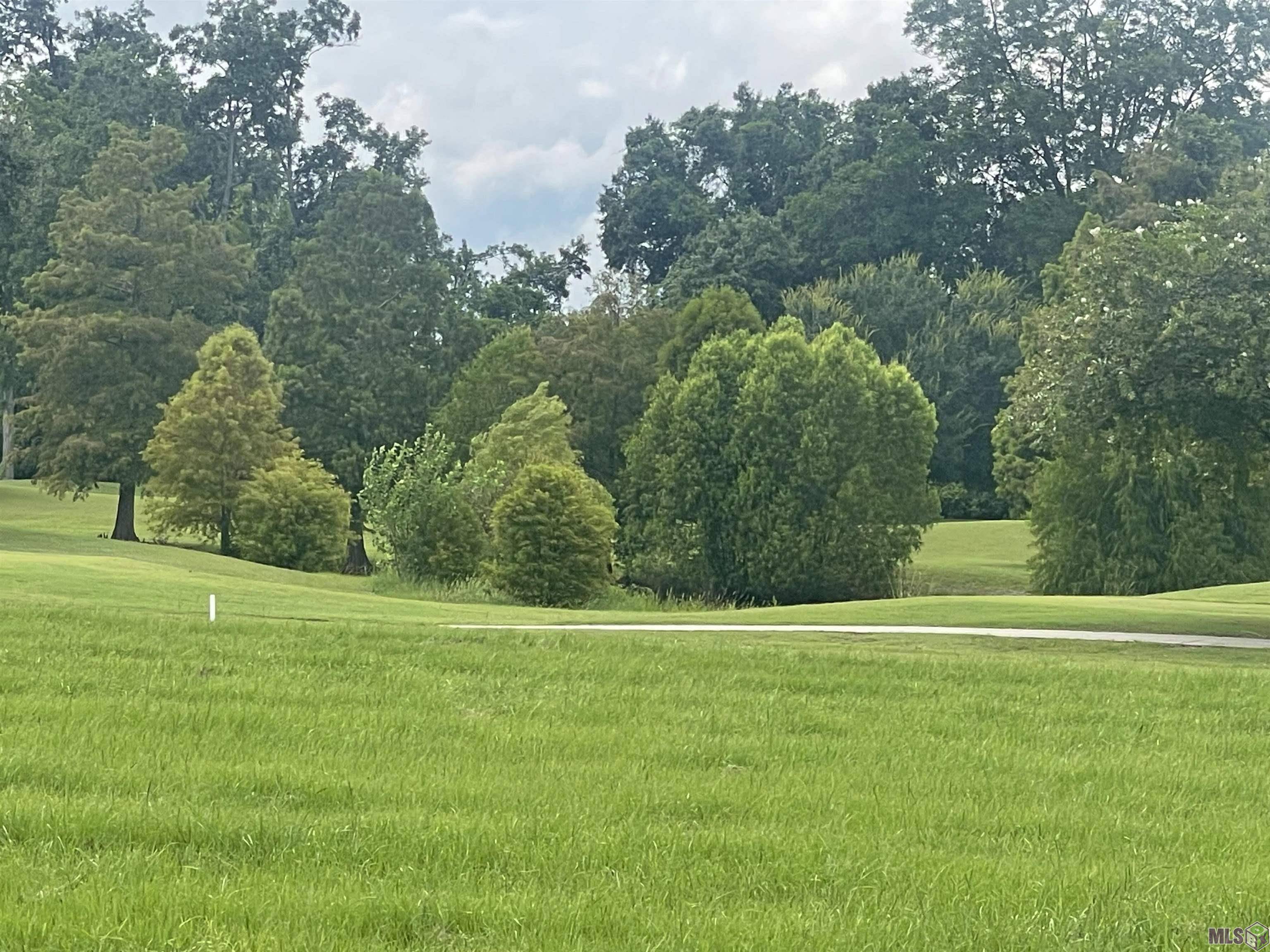 Plaquemine, LA 70764,Lot 92 April Ln