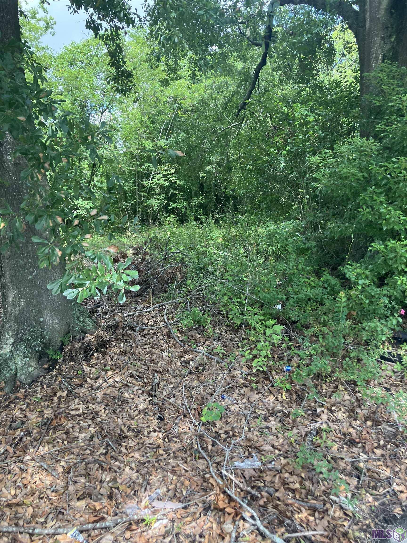 Baton Rouge, LA 70802,615 N 33rd St