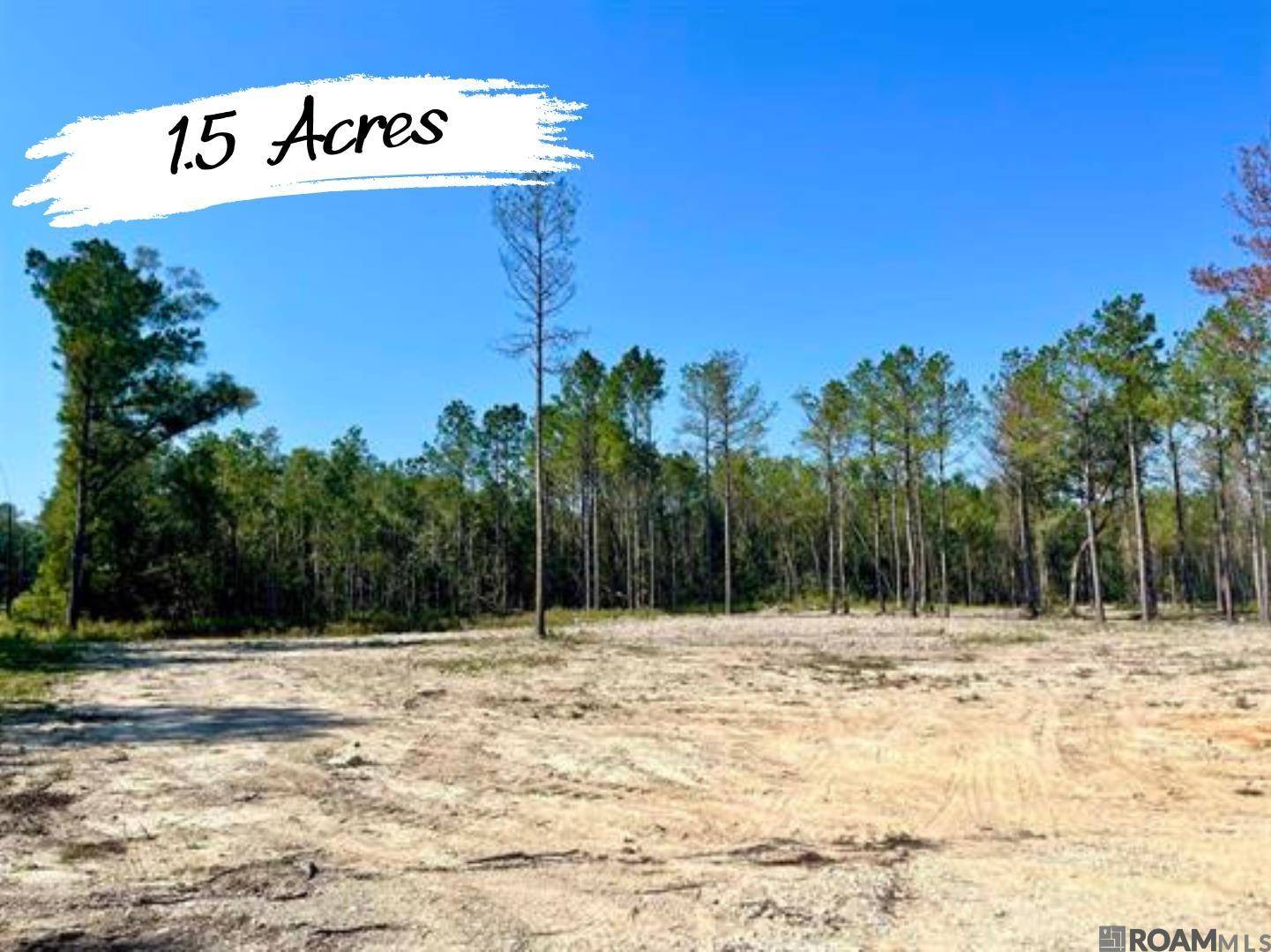 Holden, LA 70744,29581 George White Rd