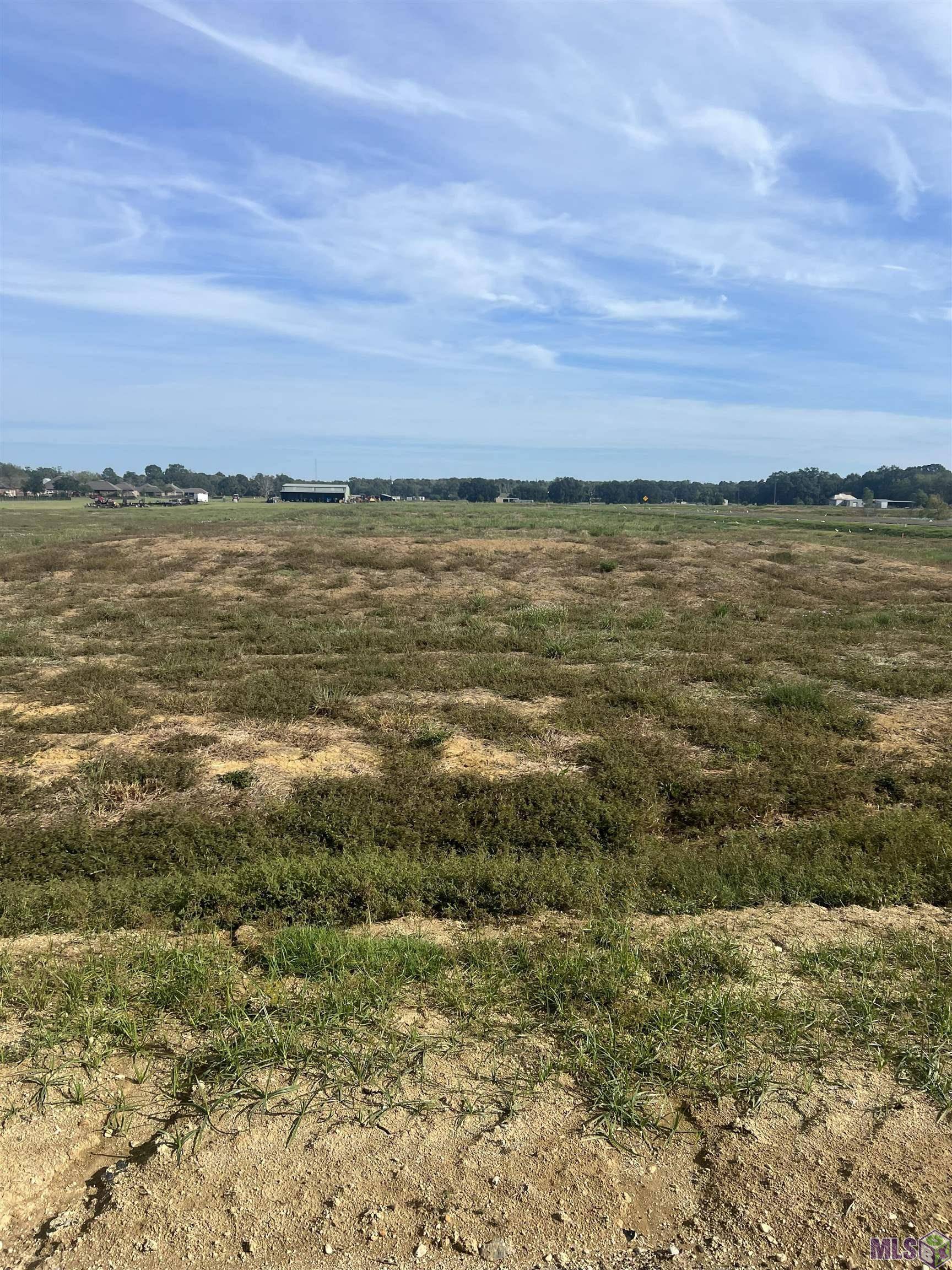 Gonzales, LA 70737,Lot # 21 Buddy Gore Rd