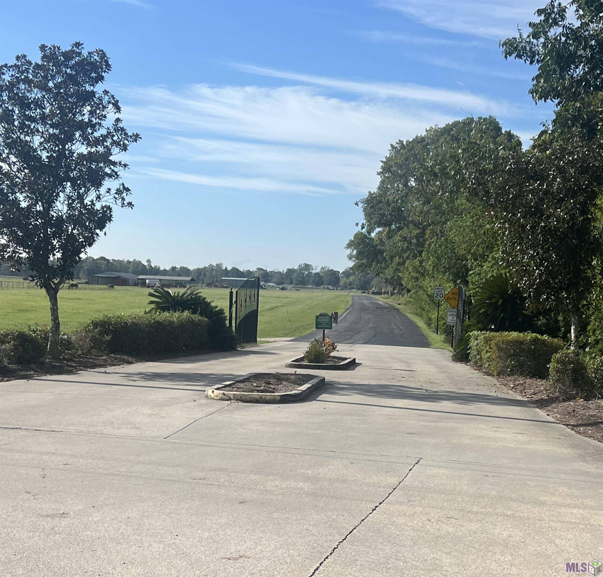 Gonzales, LA 70737,Lot # 28 Buddy Gore Rd