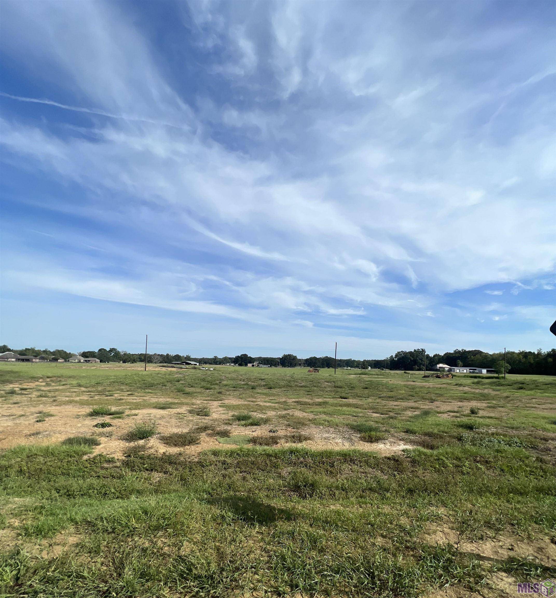 Gonzales, LA 70737,Lot # 32 Buddy Gore Rd