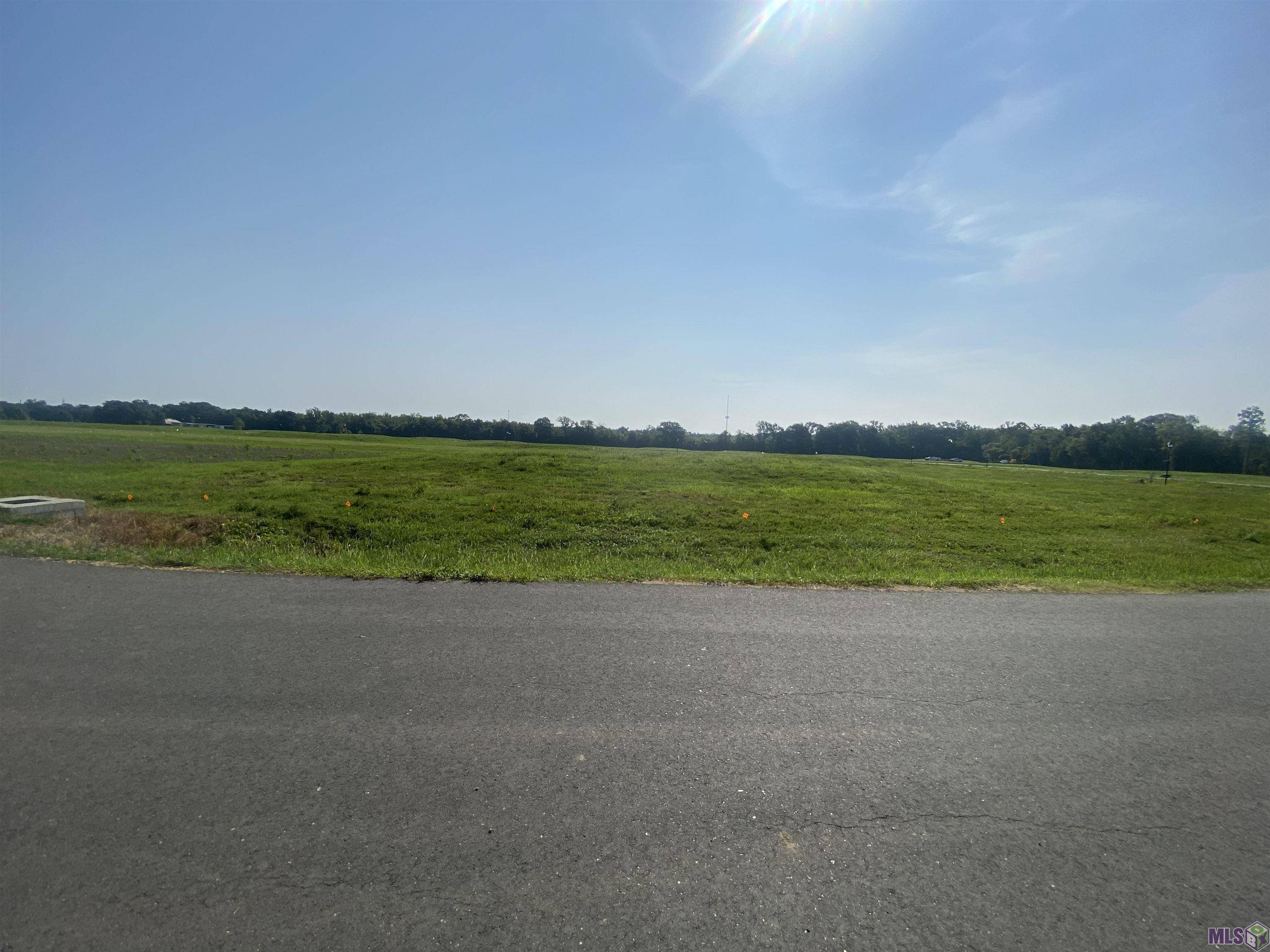 Gonzales, LA 70737,lot 19 Buddy Gore Rd