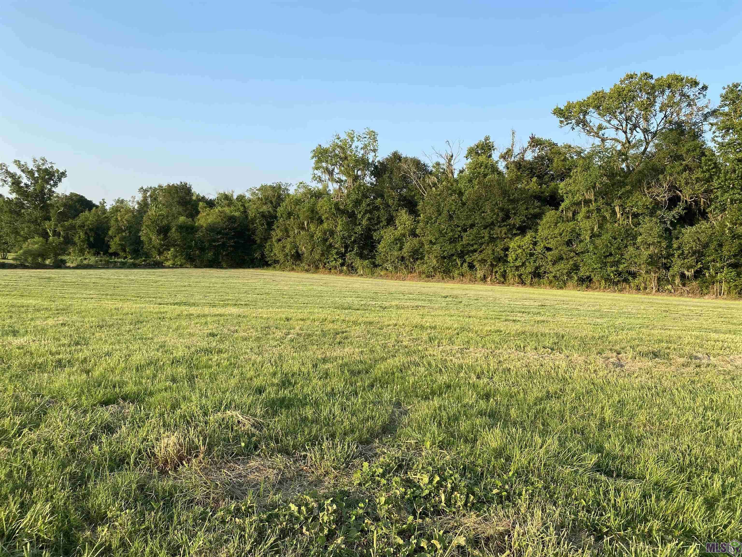 Gonzales, LA 70737,Lot 29 Buddy Gore Rd