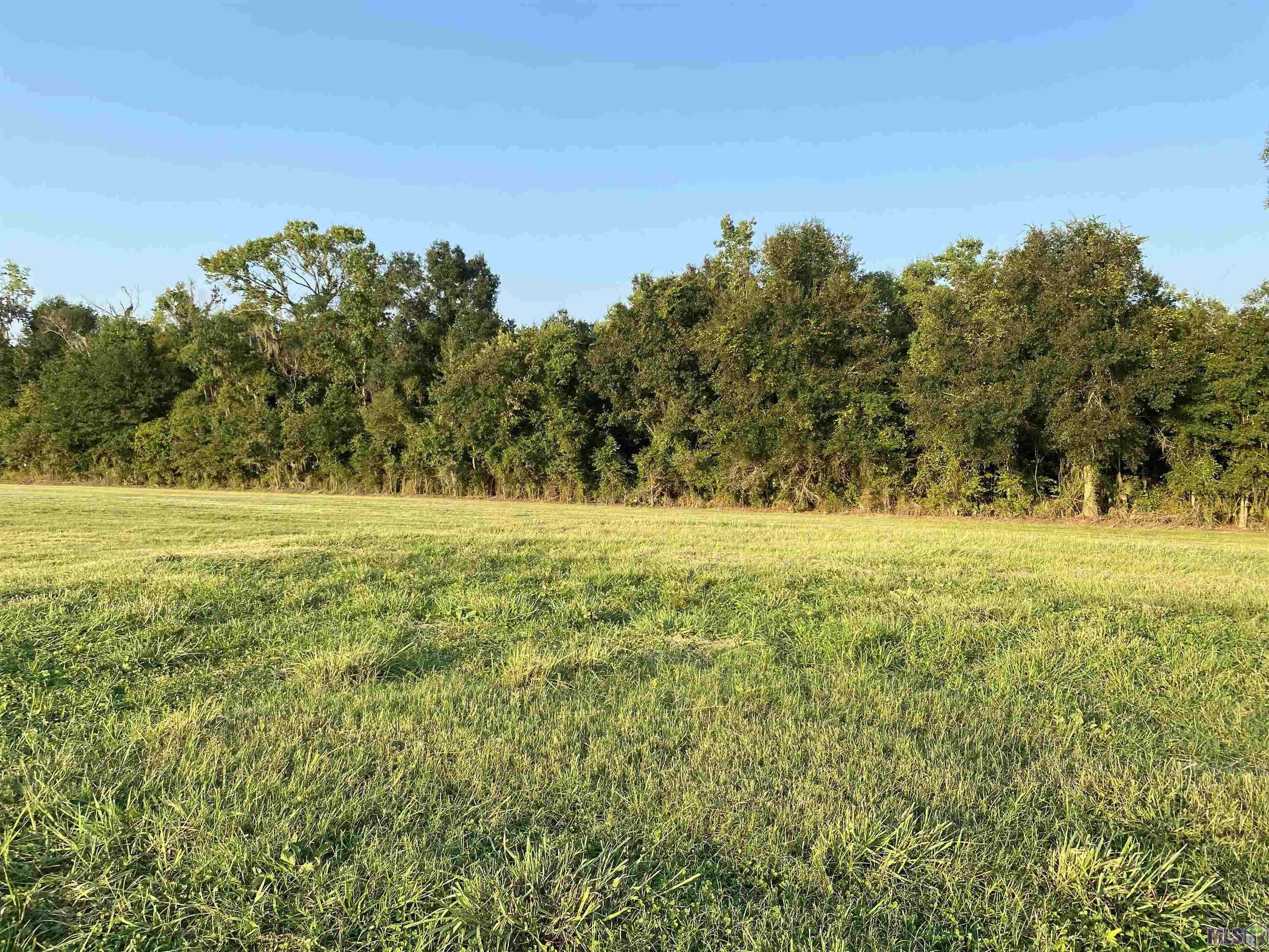 Gonzales, LA 70737,Lot 30 Buddy Gore Rd