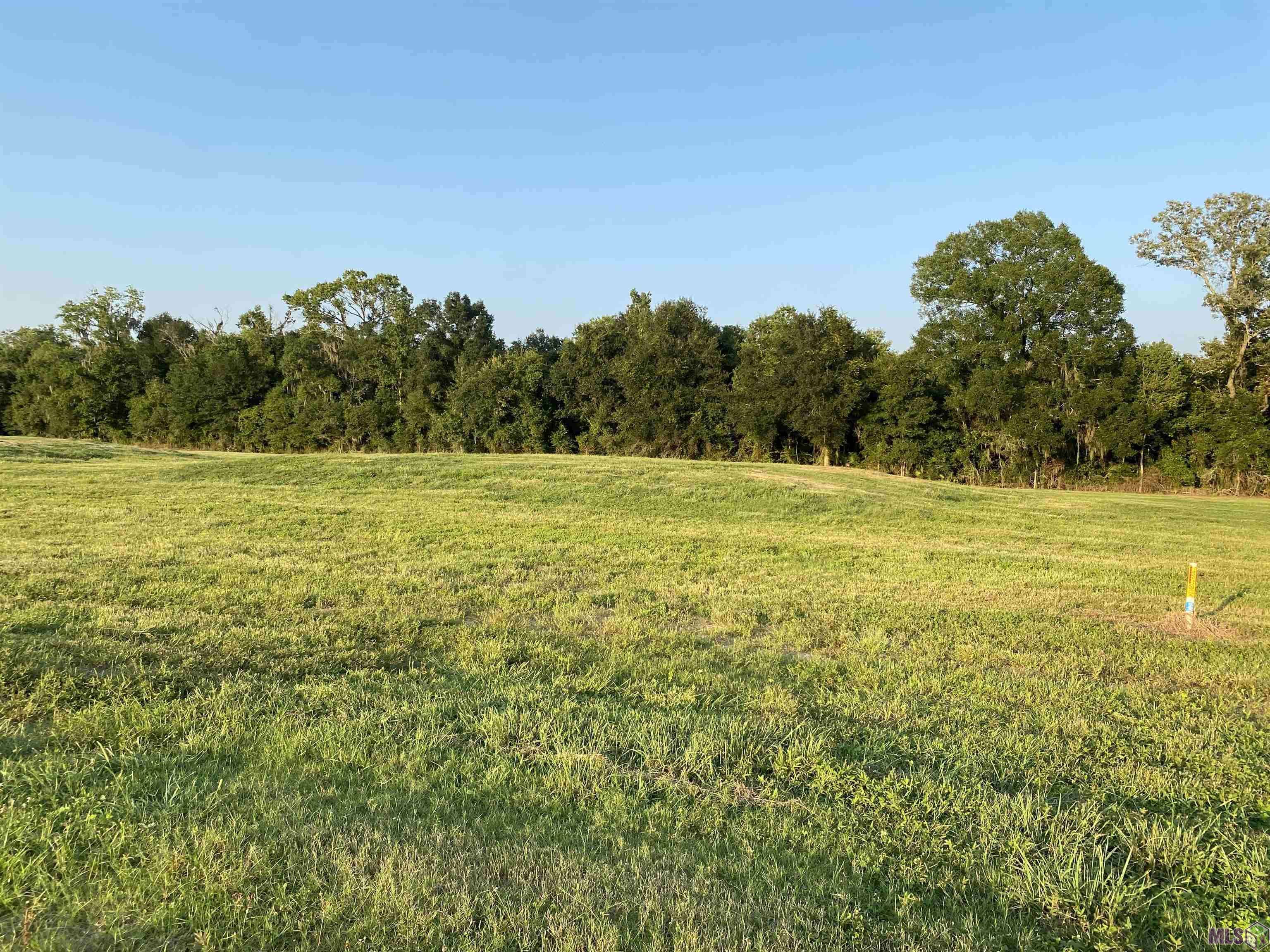 Gonzales, LA 70737,Lot 30 Buddy Gore Rd