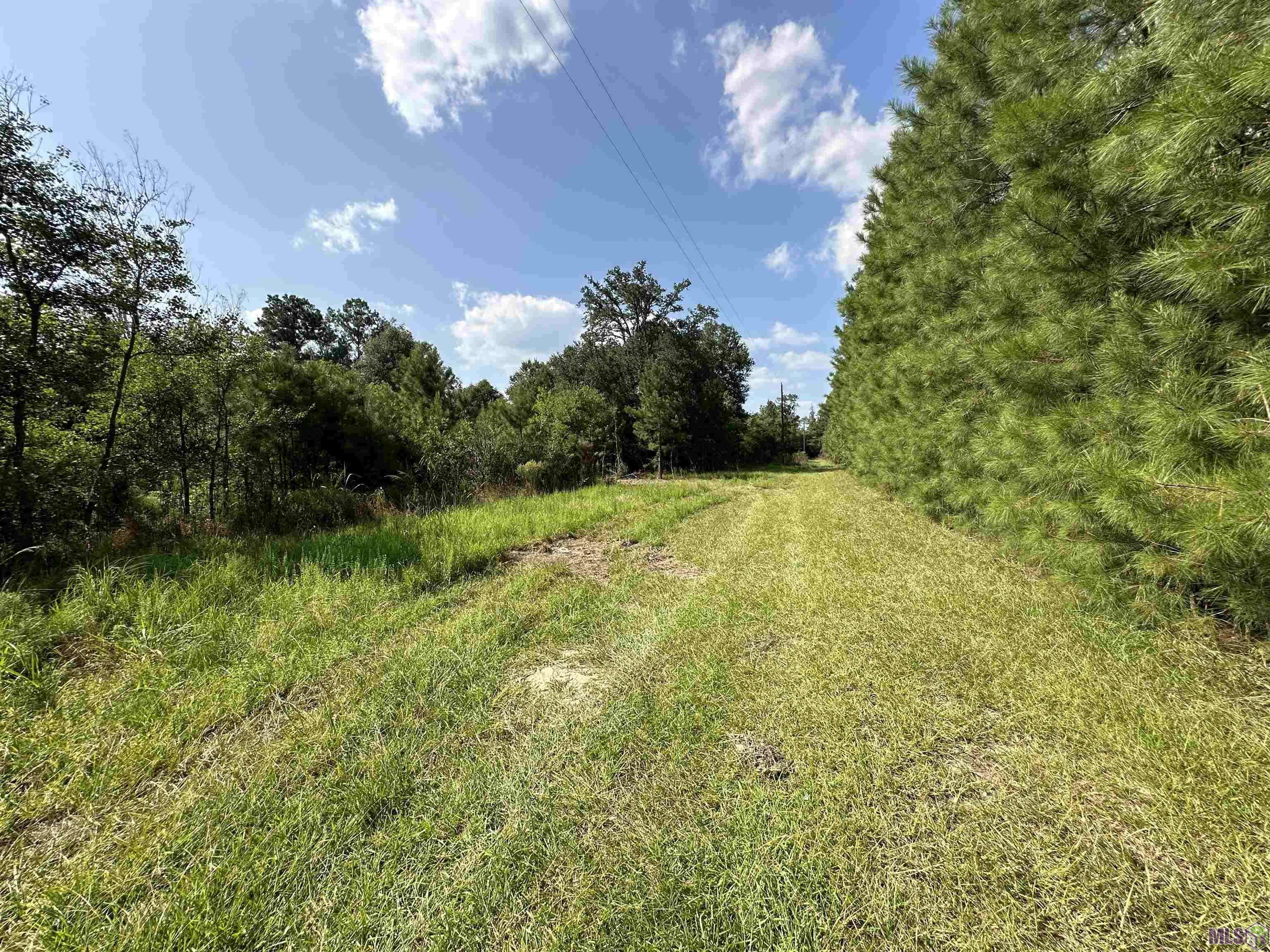 Albany, LA 70711,Lot 1A Crain Rd