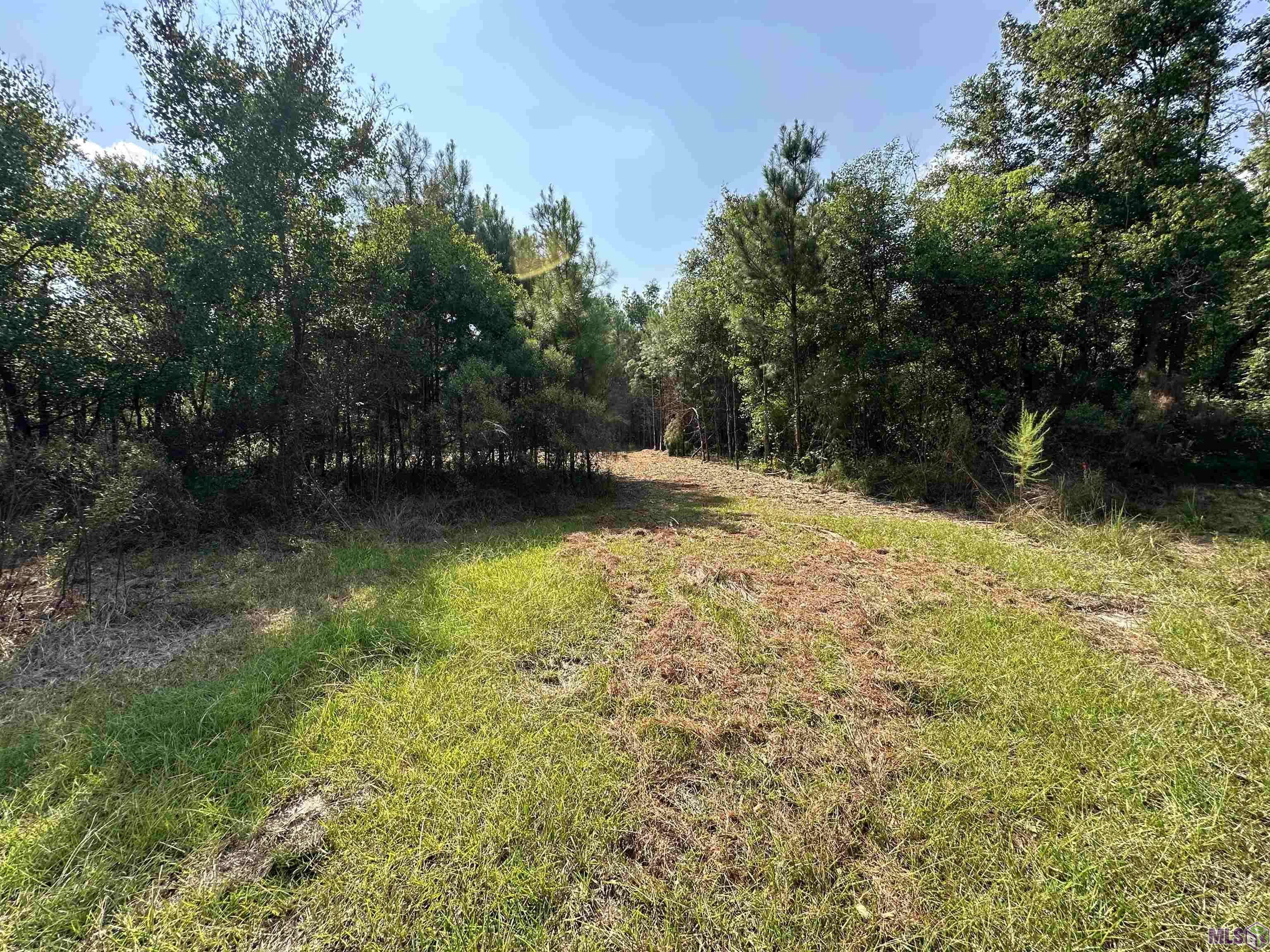 Albany, LA 70711,Lot 1A Crain Rd